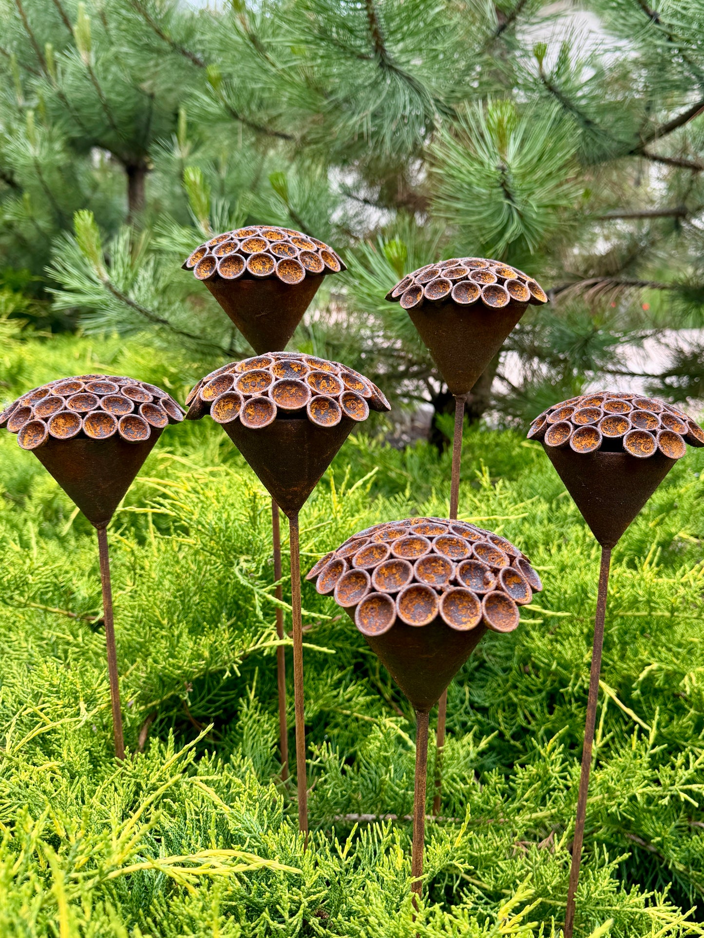 Set of 6 Rusty Metal Flowers - Sculptural Garden Stakes and Unique Yard Art