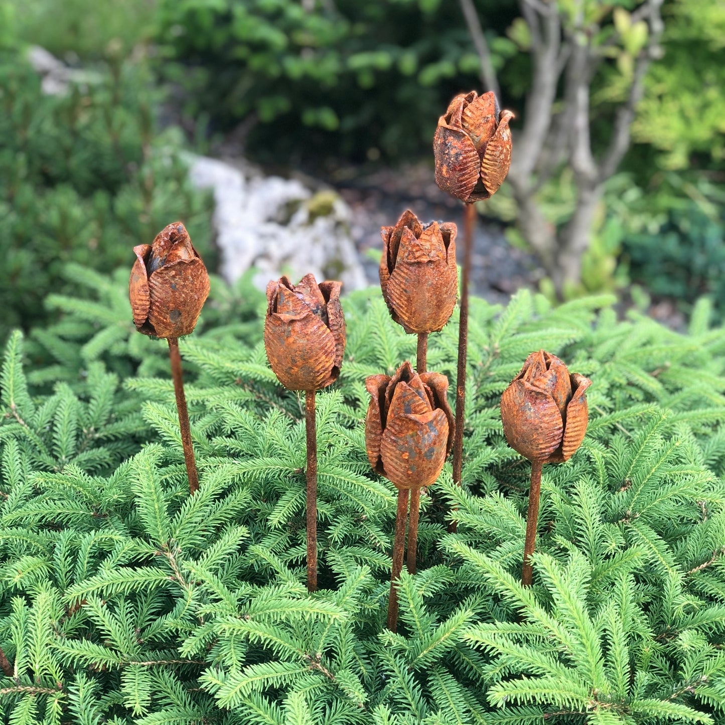 Rusty flowers set of 6, Tulips flowers garden decor, Metal garden decor, metal yard art, outdoor metal decor, Rusty metal garden decor