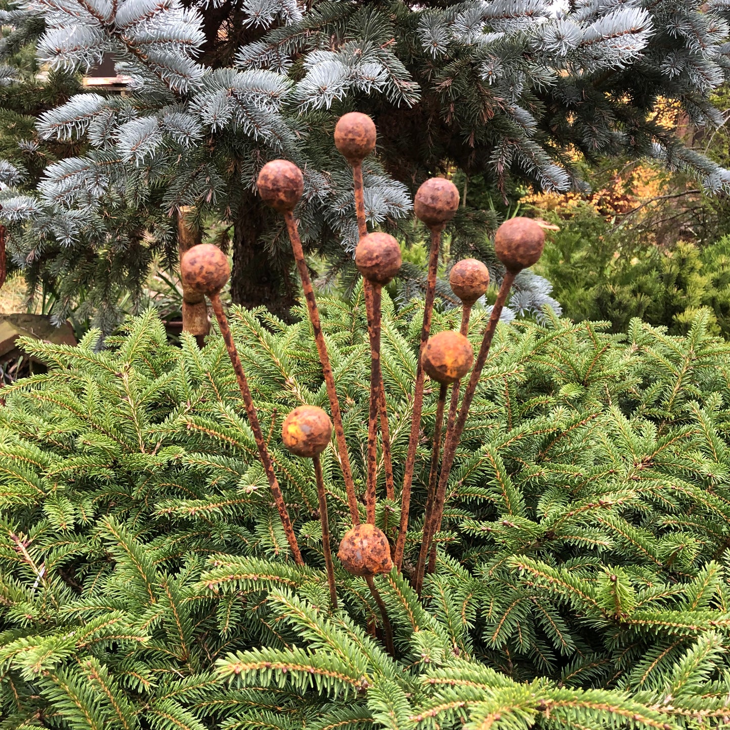 Rusty flowers set of 10, Metal Flower garden decor, Metal garden decor, metal yard art, outdoor metal decor, Rusty metal garden decor