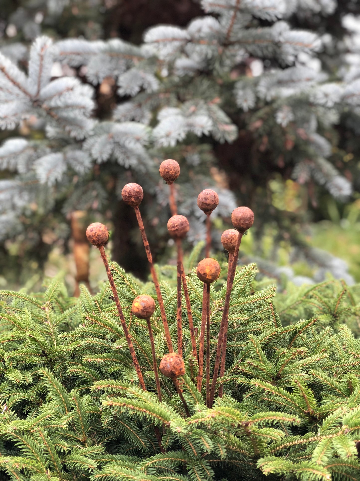 Rusty flowers set of 10, Metal Flower garden decor, Metal garden decor, metal yard art, outdoor metal decor, Rusty metal garden decor