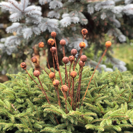 Rusty flowers set of 20, Metal Flower garden decor, Metal garden decor, metal yard art, outdoor metal decor, Rusty metal garden decor