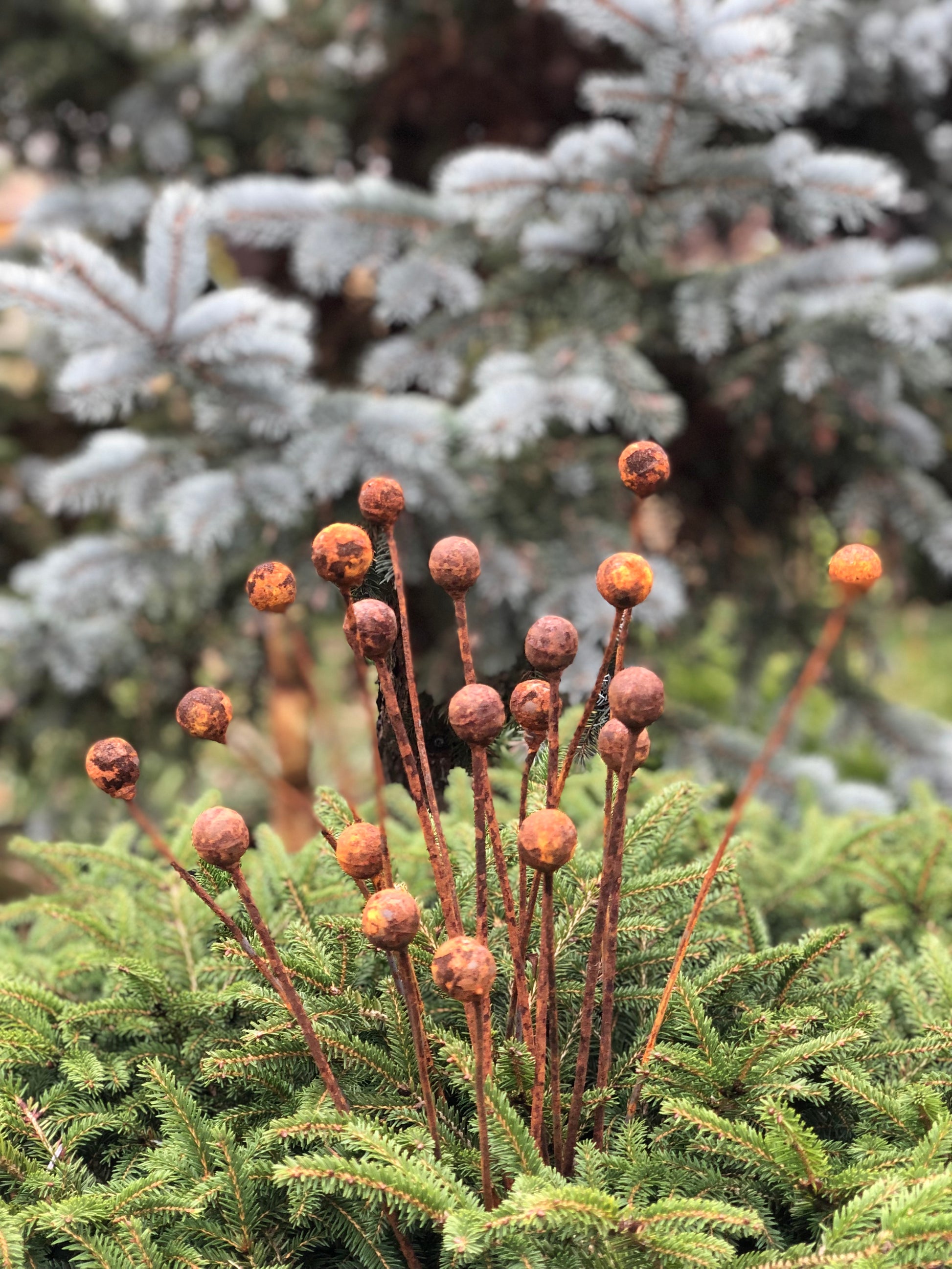 Rusty flowers set of 20, Metal Flower garden decor, Metal garden decor, metal yard art, outdoor metal decor, Rusty metal garden decor