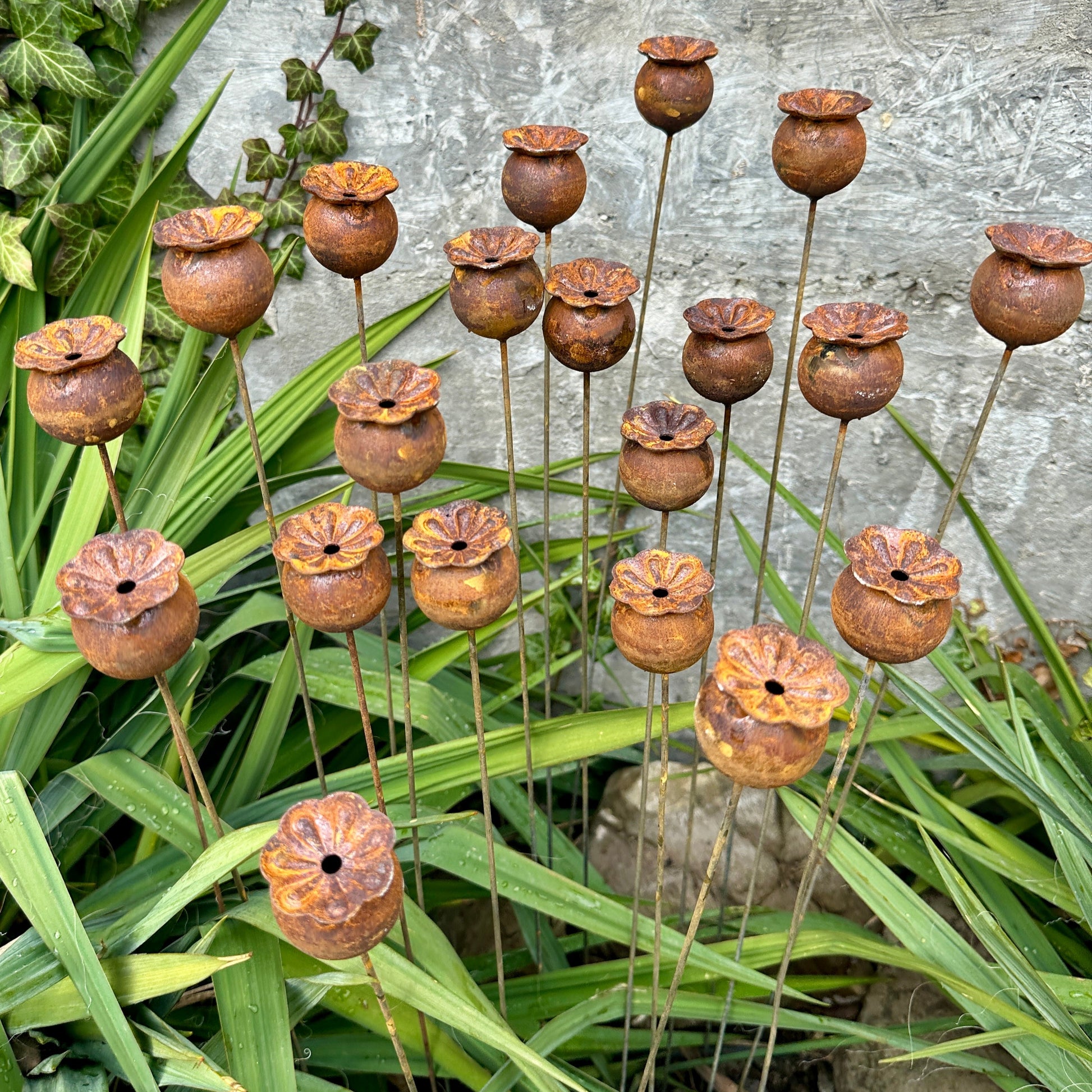 Rusty flowers set of 20, Poppy seeds head garden decor, Metal garden decor, metal yard art, outdoor metal decor, Rusty metal garden decor
