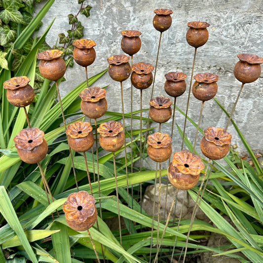 Rusty flowers set of 20, Poppy seeds head garden decor, Metal garden decor, metal yard art, outdoor metal decor, Rusty metal garden decor