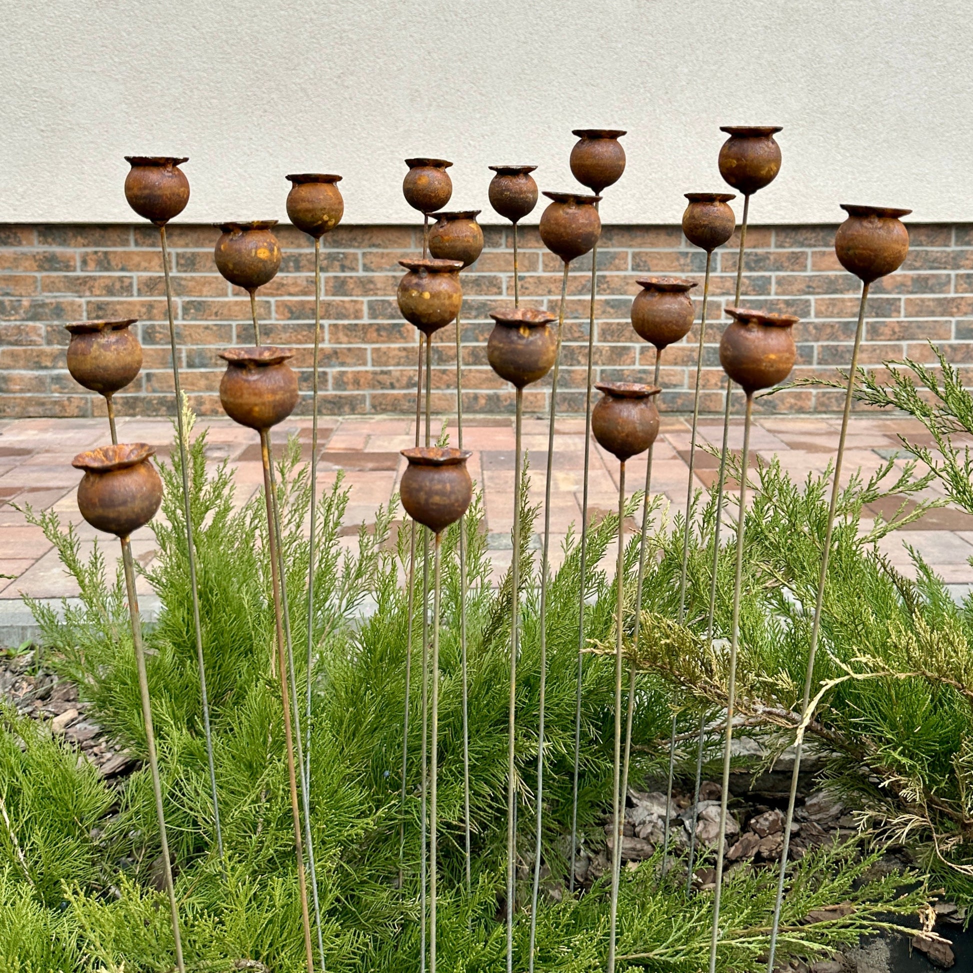 Rusty flowers set of 20, Poppy seeds head garden decor, Metal garden decor, metal yard art, outdoor metal decor, Rusty metal garden decor