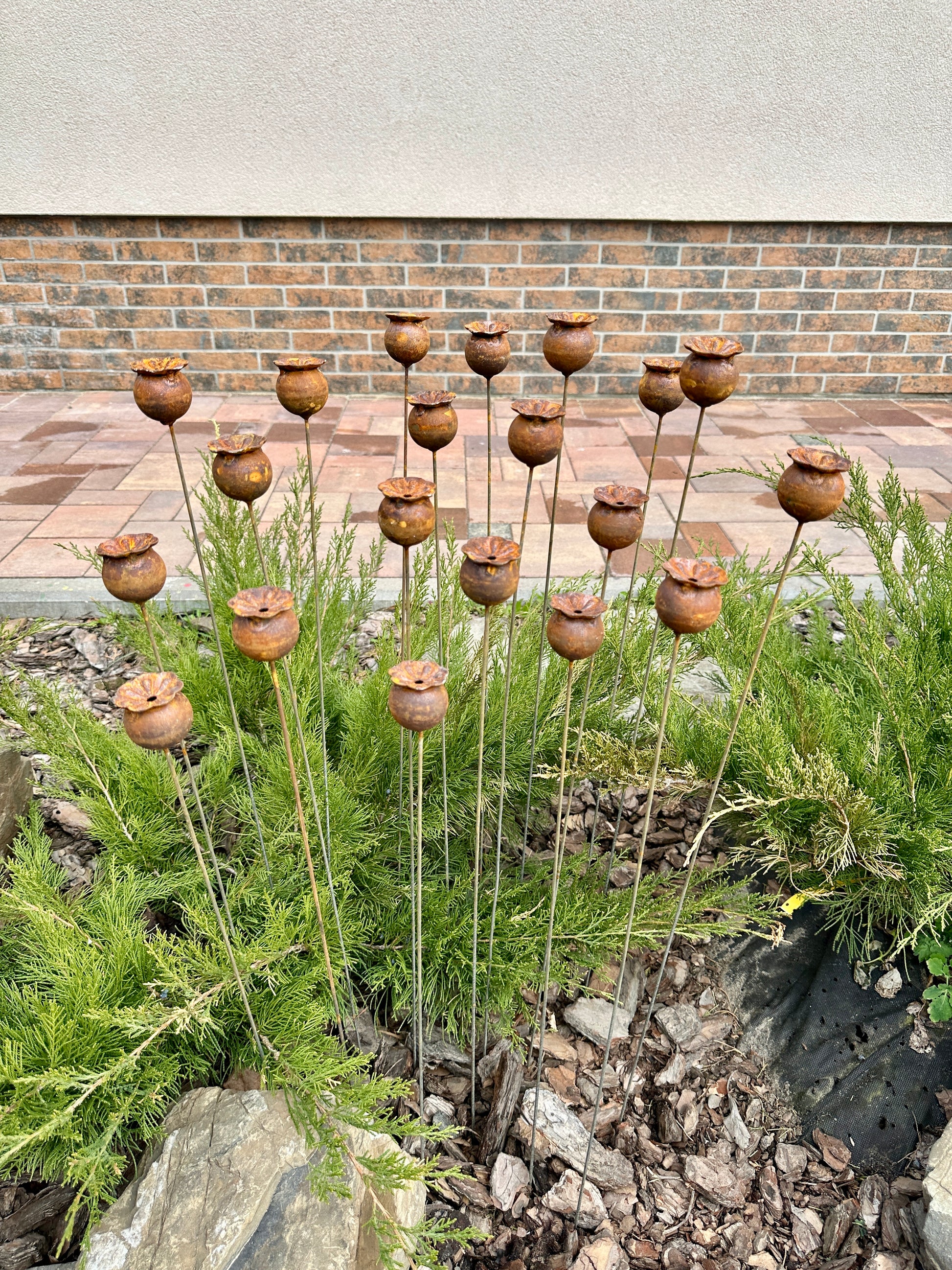 Rusty flowers set of 20, Poppy seeds head garden decor, Metal garden decor, metal yard art, outdoor metal decor, Rusty metal garden decor