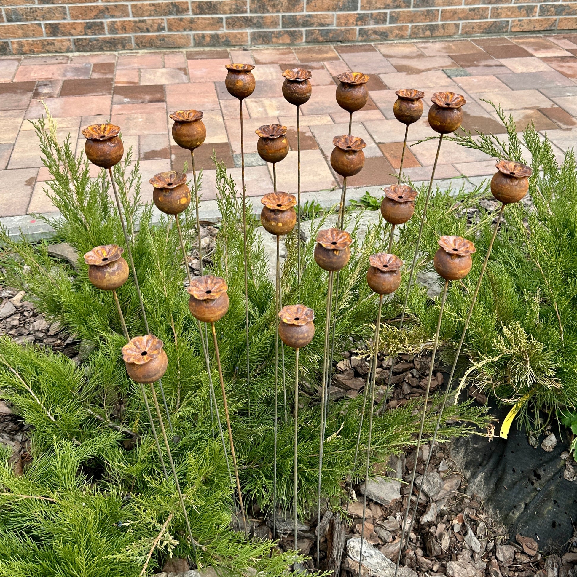 Rusty flowers set of 20, Poppy seeds head garden decor, Metal garden decor, metal yard art, outdoor metal decor, Rusty metal garden decor