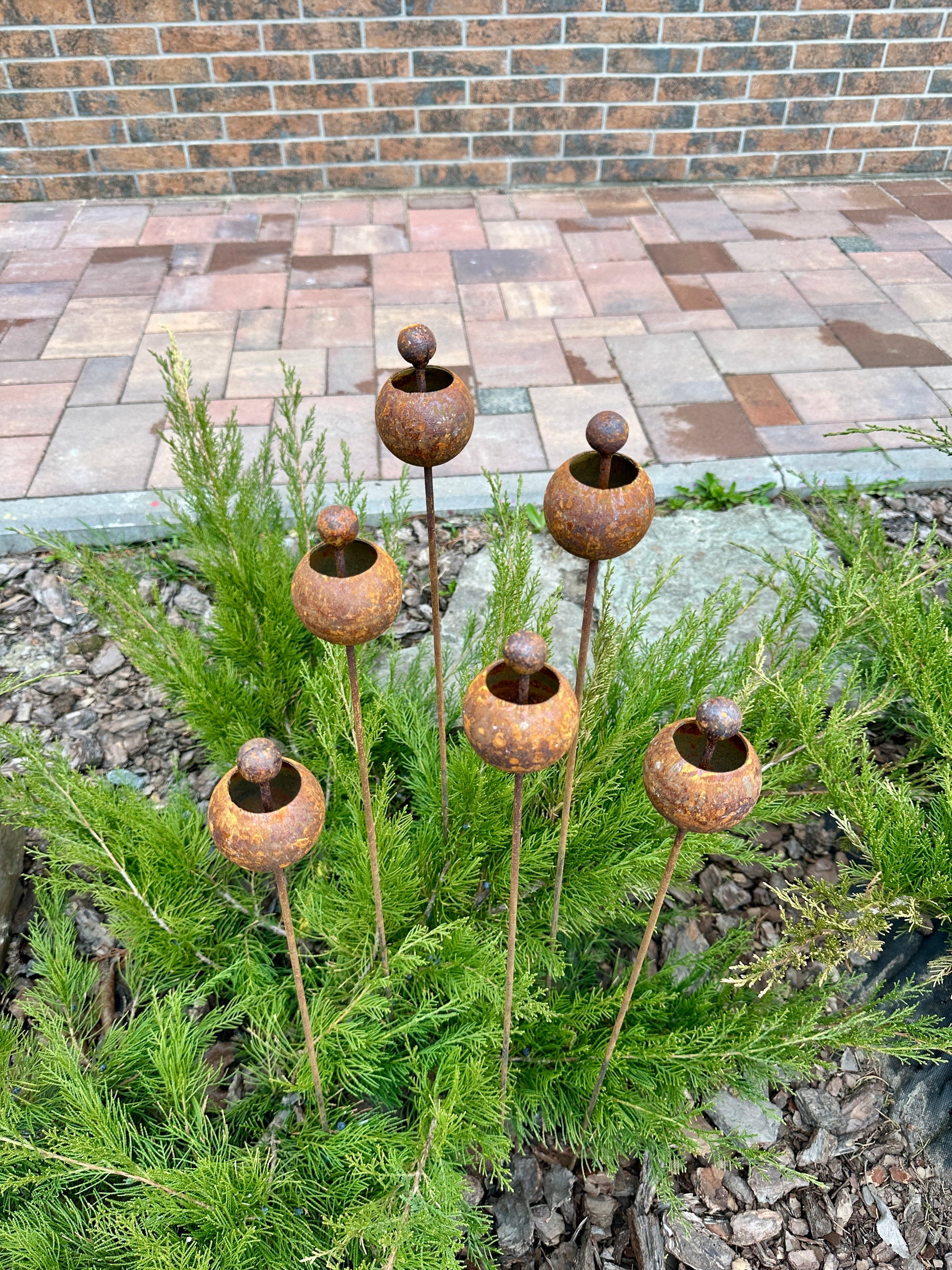 Rusty Flowers Set of 6, Flowers Garden Decor, Metal Rain Catchers, Metal Yard Art, Outdoor Metal Decor, Rustic Metal Garden Sculpture