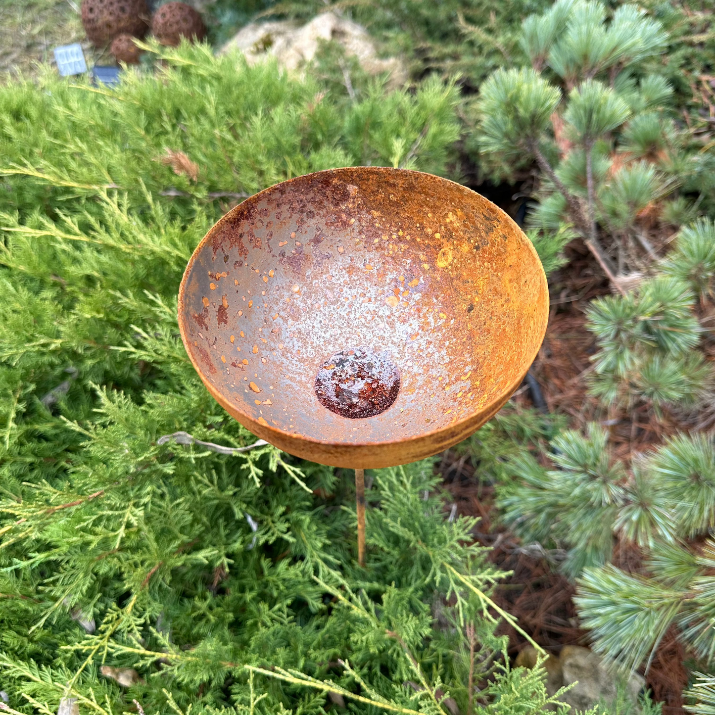 Rain catcher, Rusty metal flower garden stakes, Bird bath outdoor garden decor