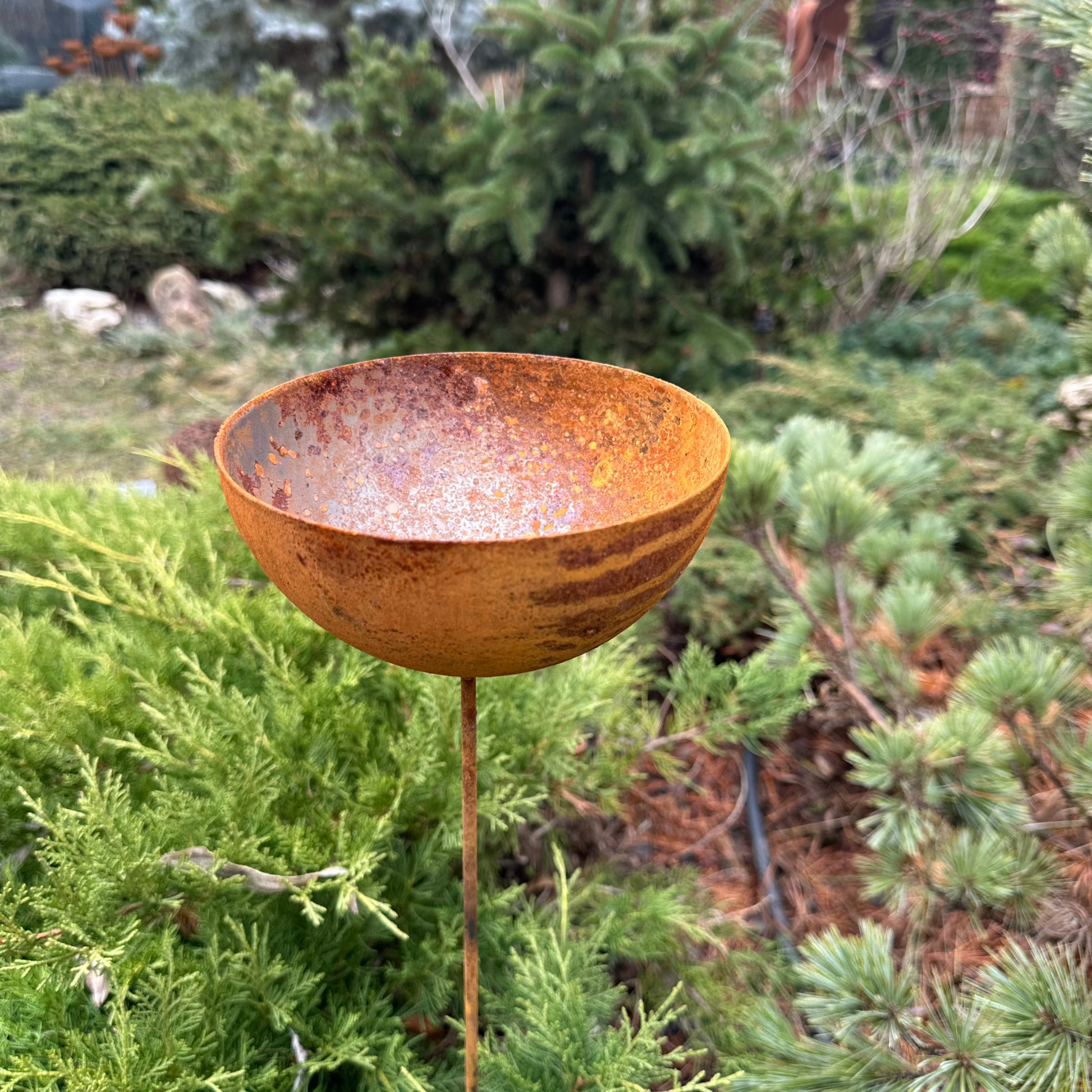 Rain catcher, Rusty metal flower garden stakes, Bird bath outdoor garden decor