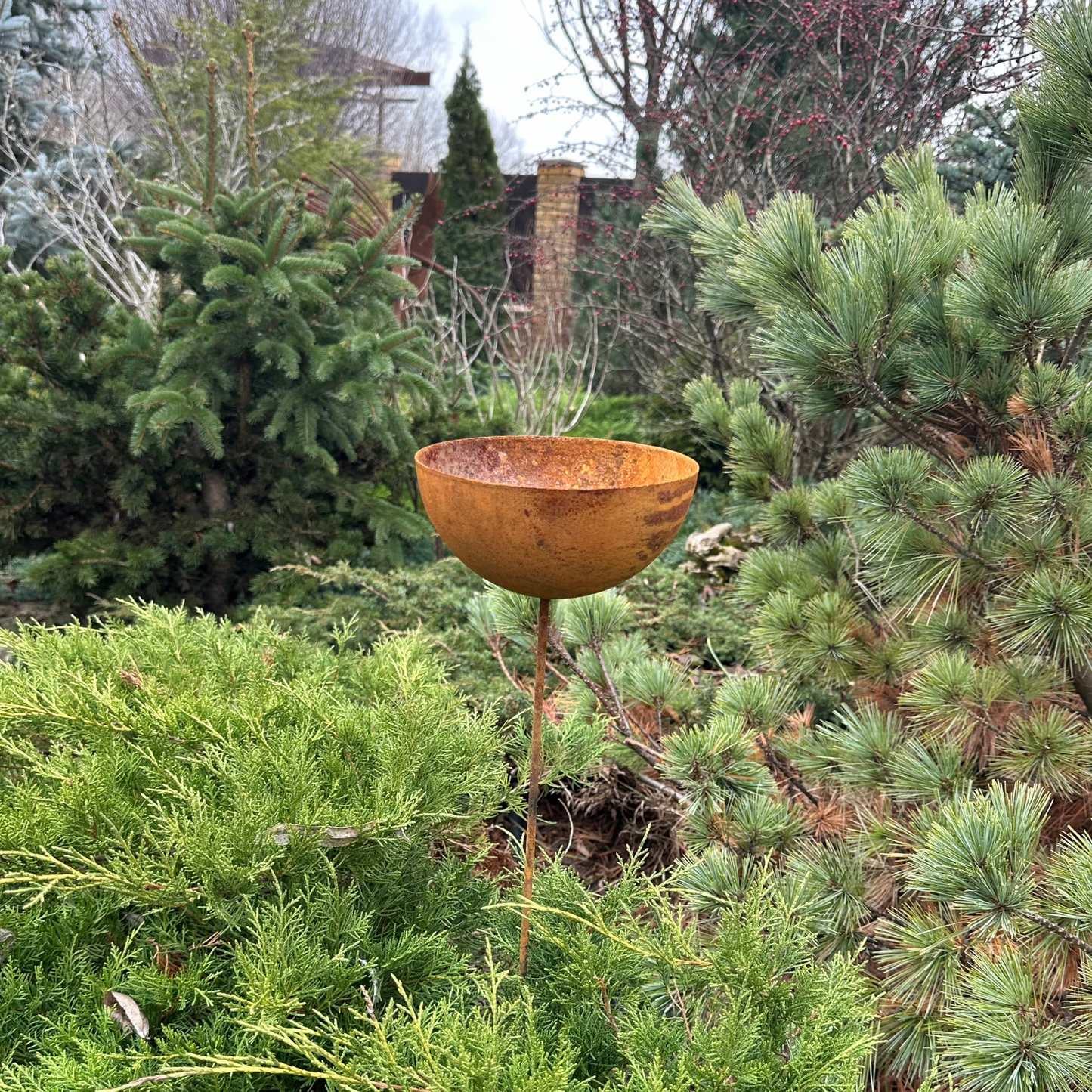 Rain catcher, Rusty metal flower garden stakes, Bird bath outdoor garden decor