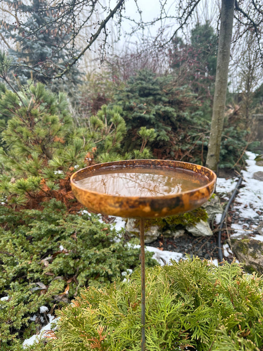 This Rustic metal bird bath will place decorative accent in the garden compositions and landscape, create an atmosphere of romance and coziness in your home. 