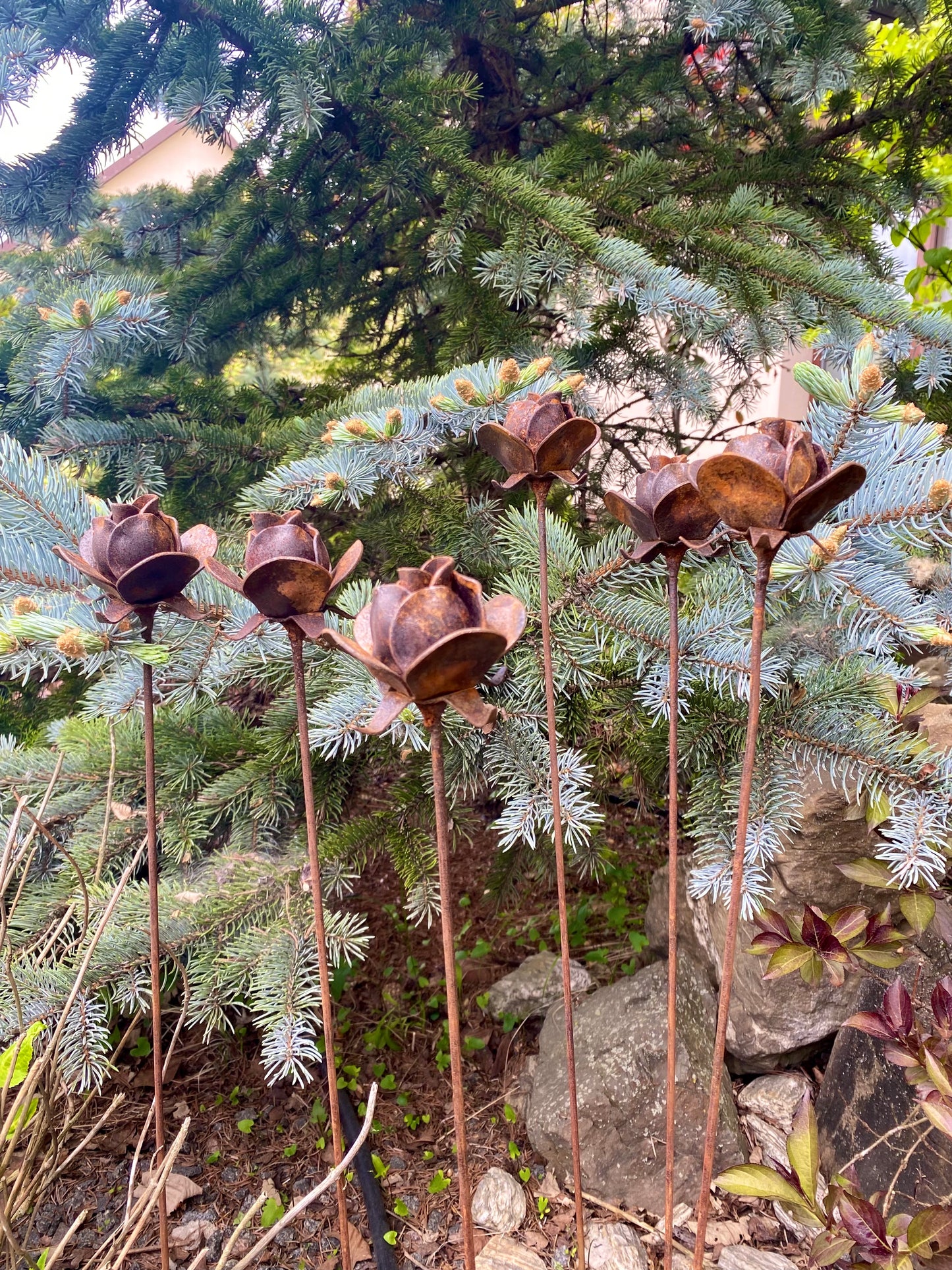 Rusty flowers set of 6, 6 Rusty roses garden stakes