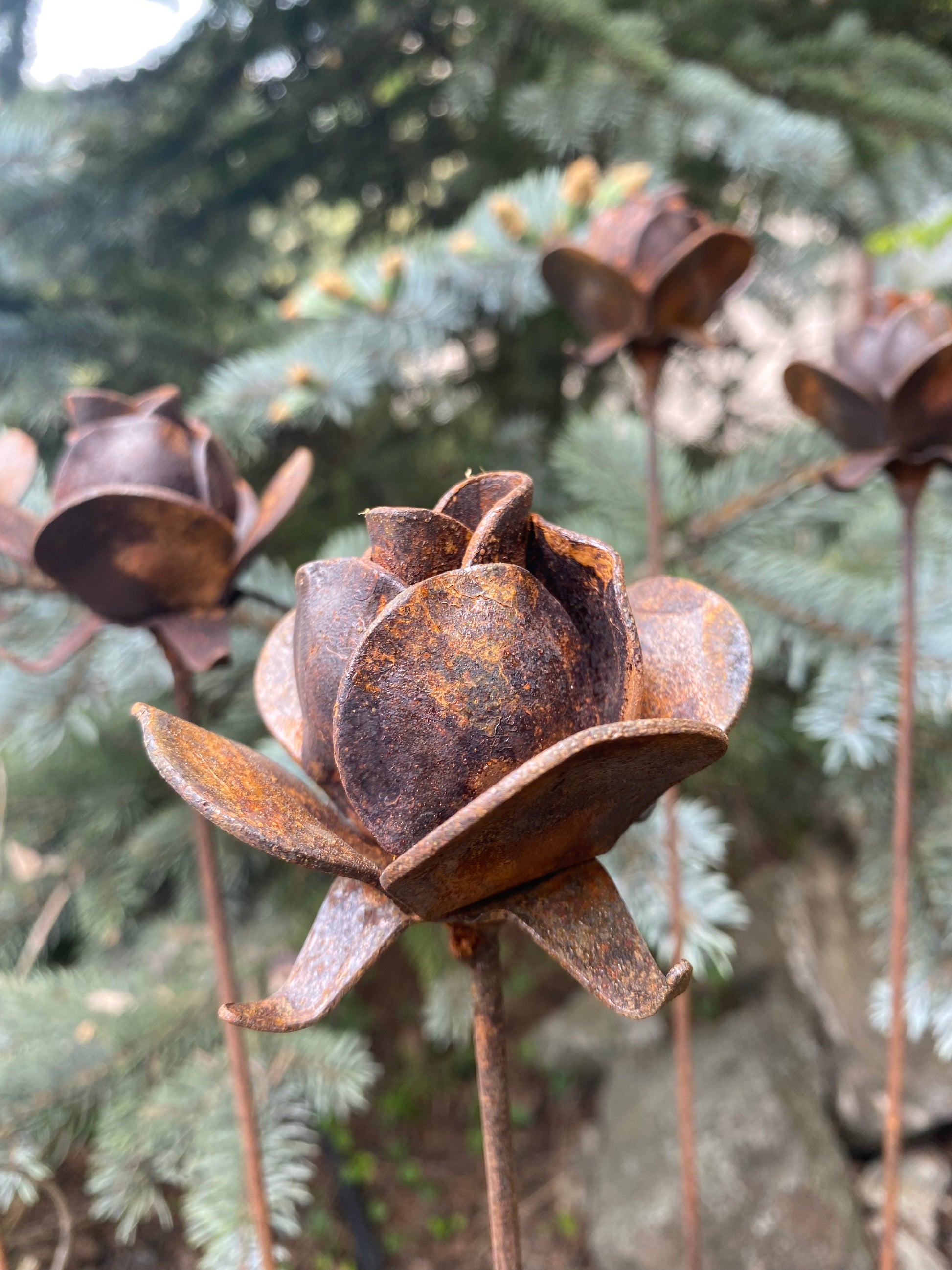 Rusty flowers set of 6, 6 Rusty roses garden stakes