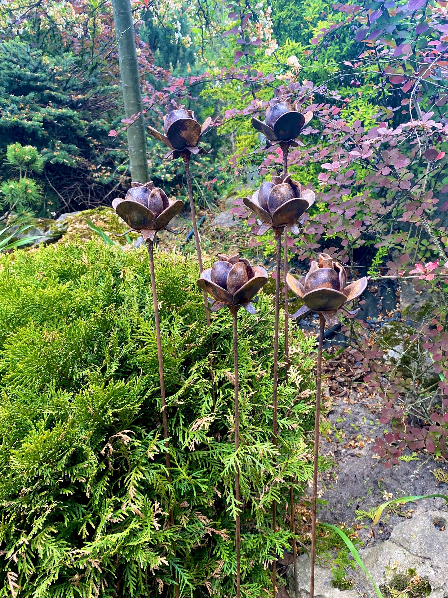 Rusty flowers set of 6, 6 Rusty roses garden stakes