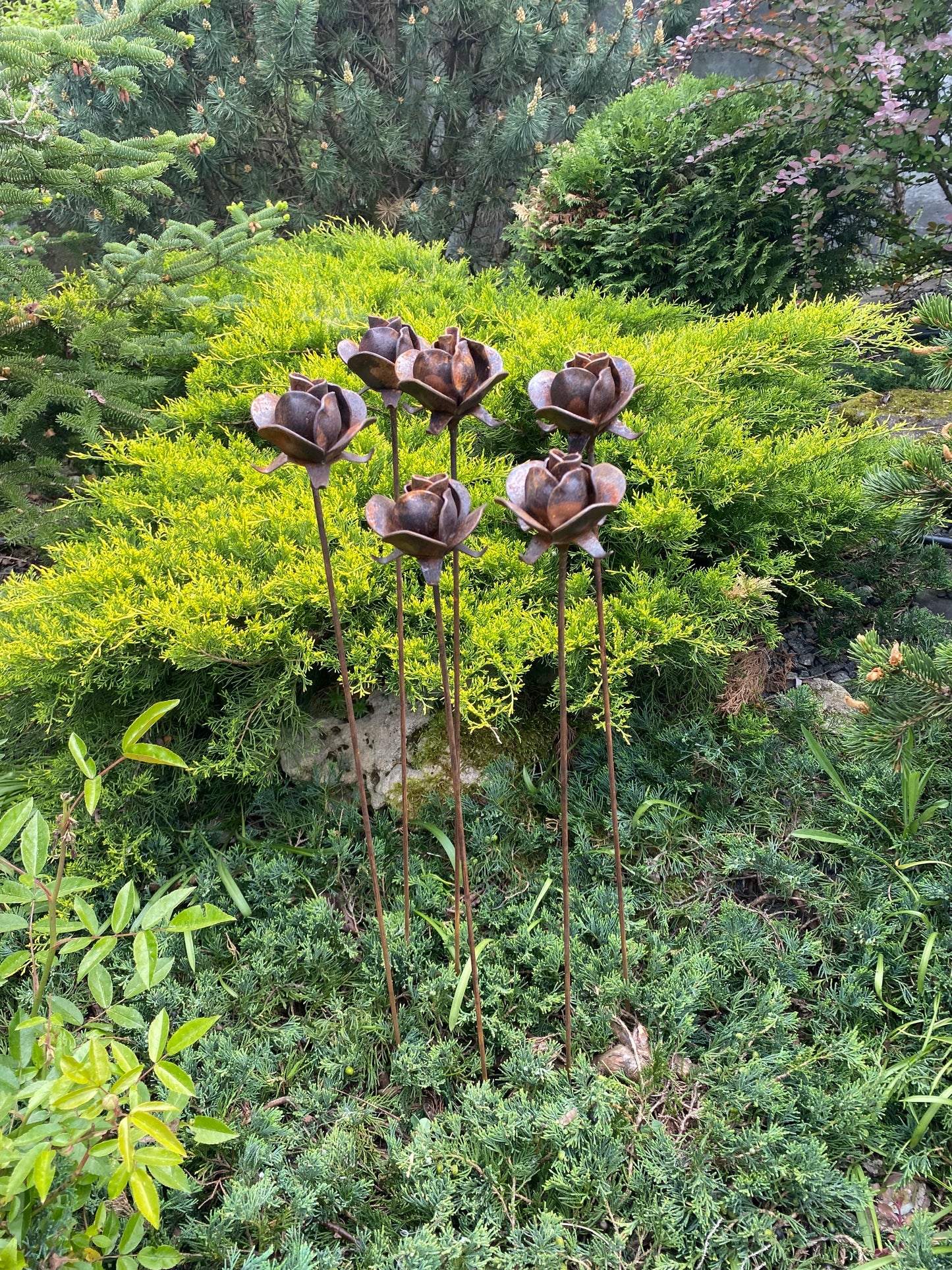 Rusty flowers set of 6, 6 Rusty roses garden stakes