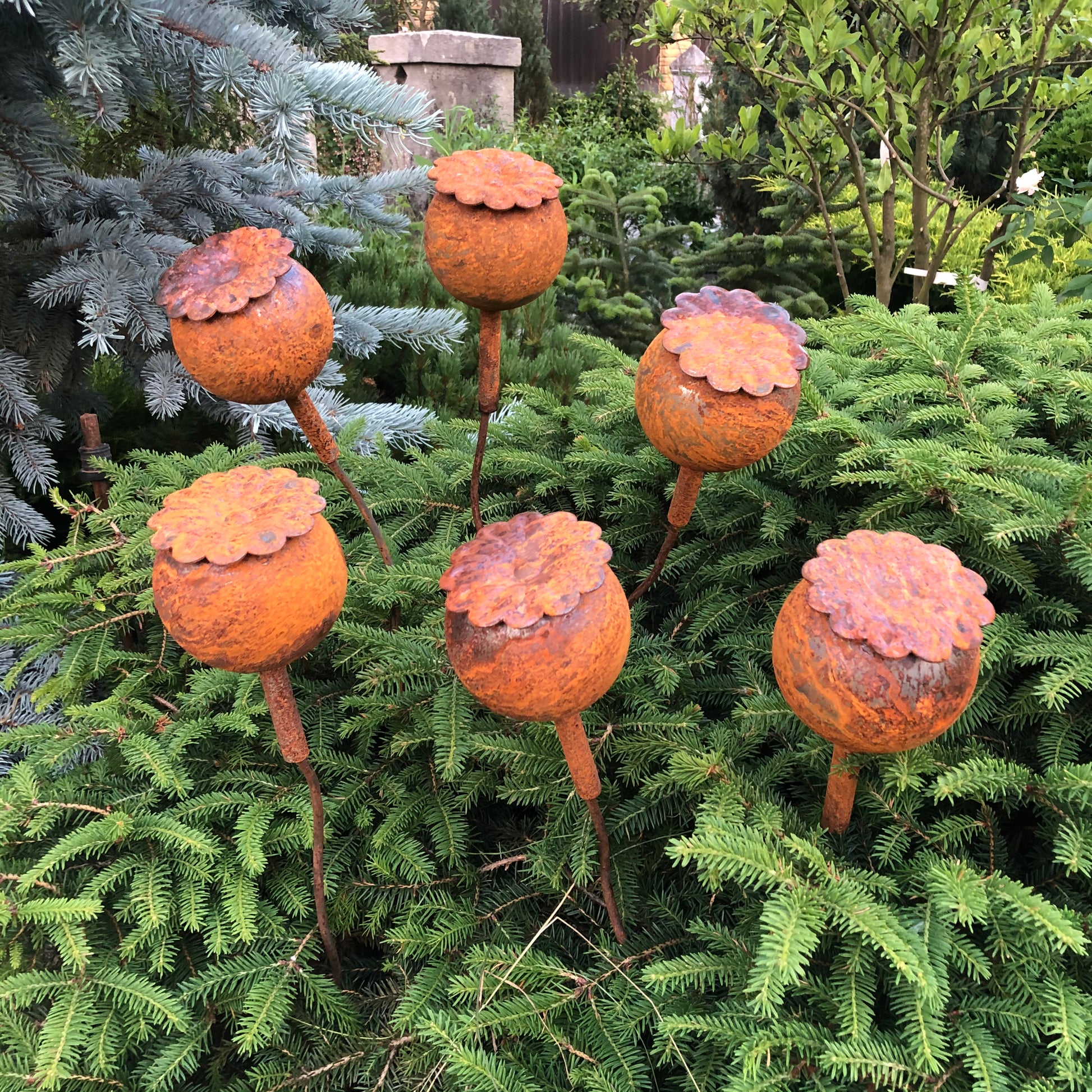 Rusty flowers set of 6, Poppy seeds head garden decor, Metal garden decor, metal yard art, outdoor metal decor, Rusty metal garden decor