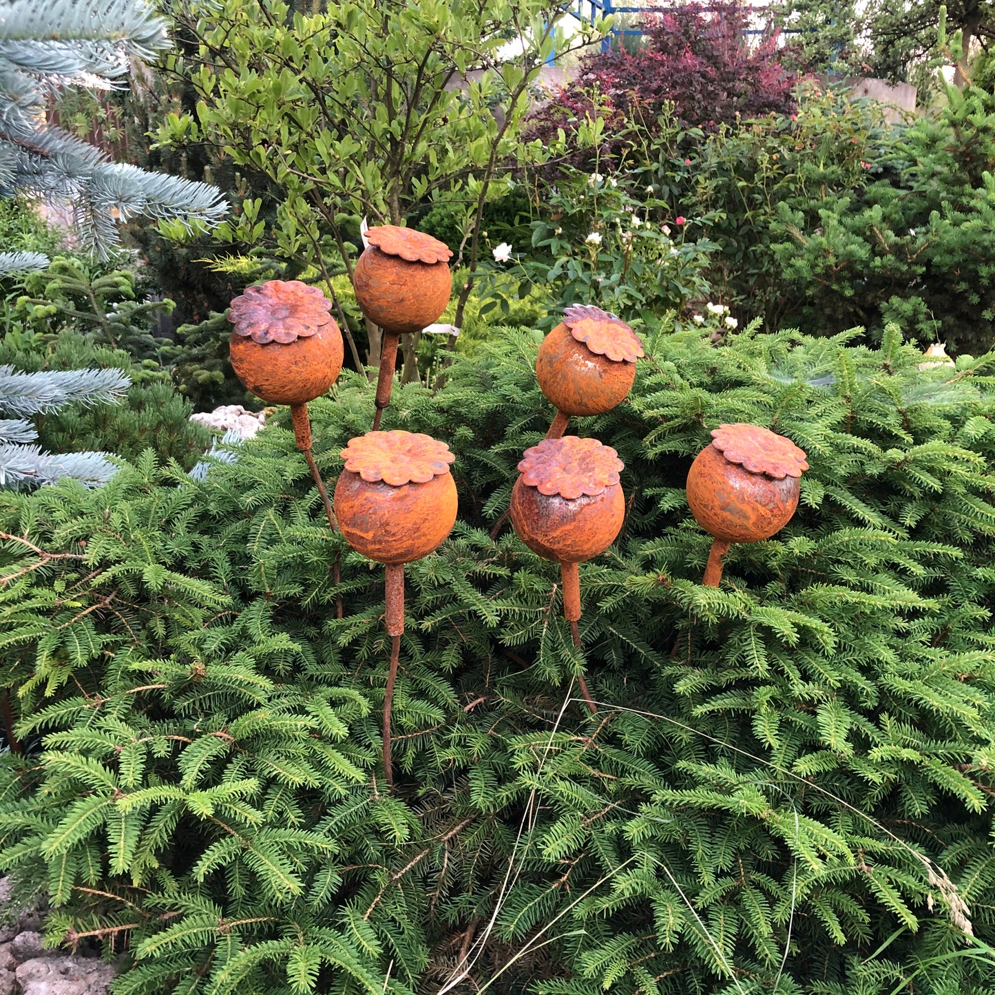 Rusty flowers set of 6, Poppy seeds head garden decor, Metal garden decor, metal yard art, outdoor metal decor, Rusty metal garden decor