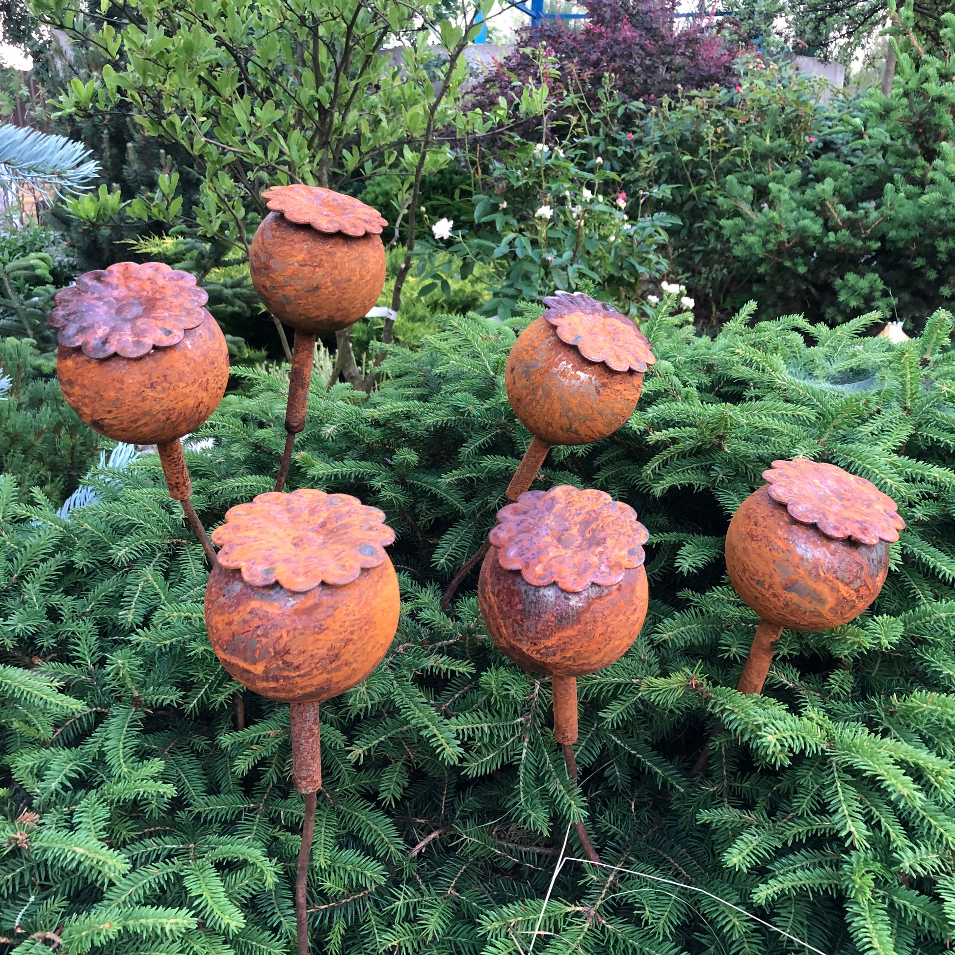 Rusty flowers set of 6, Poppy seeds head garden decor, Metal garden decor, metal yard art, outdoor metal decor, Rusty metal garden decor