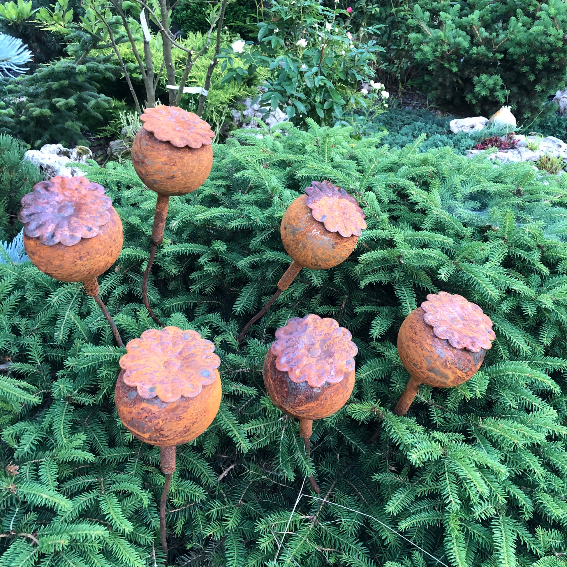 Rusty flowers set of 6, Poppy seeds head garden decor, Metal garden decor, metal yard art, outdoor metal decor, Rusty metal garden decor