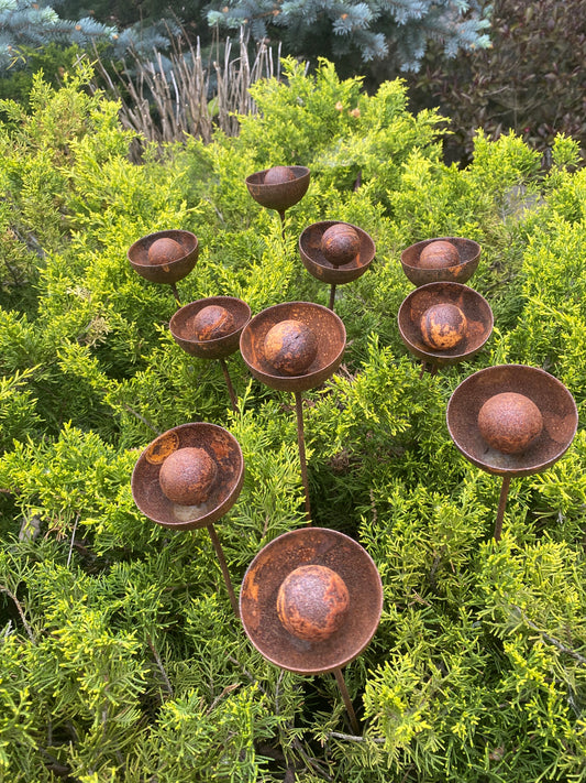 Set of 10 rusty flowers, Metal garden decorations, Yard art, Outdoor metal decor, Rusty metal rain catchers, beautiful garden stakes