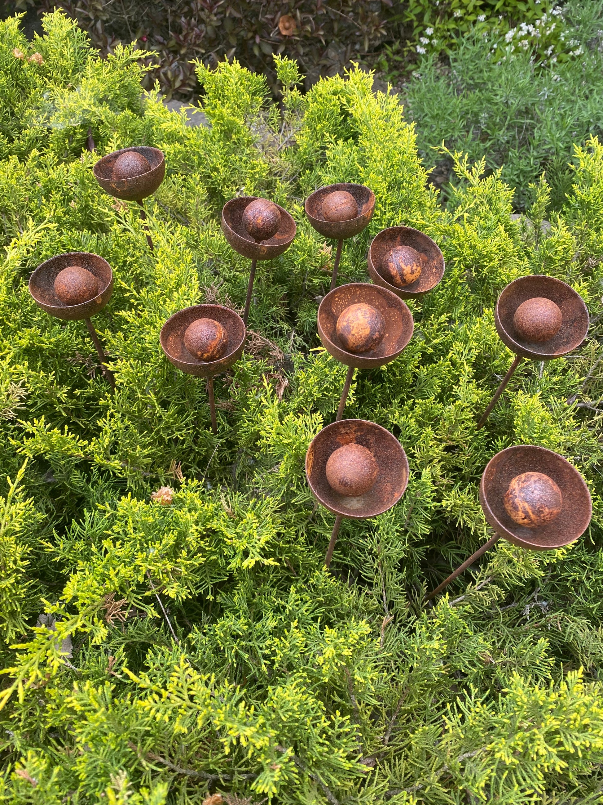 Set of 10 rusty flowers, Metal garden decorations, Yard art, Outdoor metal decor, Rusty metal rain catchers, beautiful garden stakes