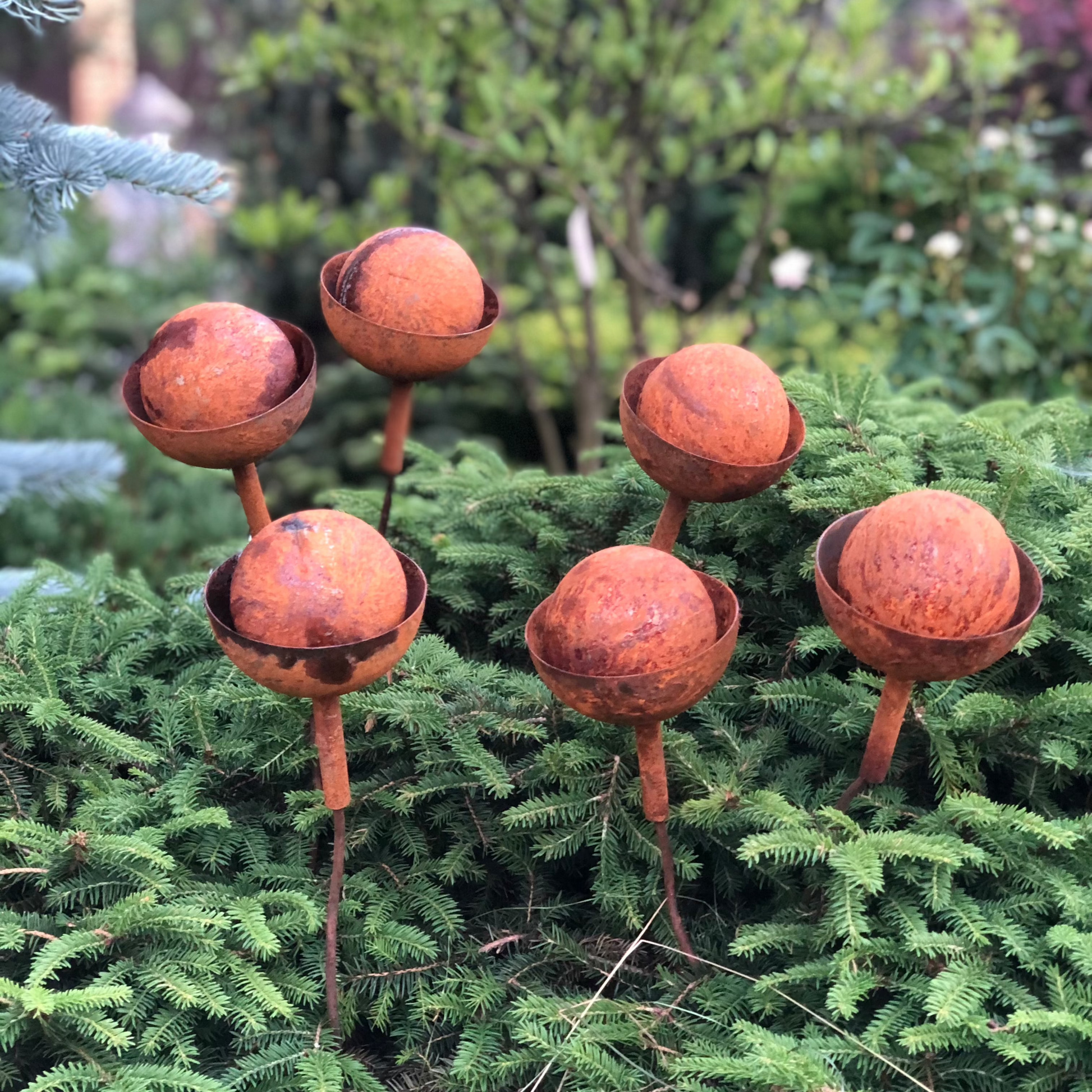 Rusty flowers set of 6, 6 Rusty flowers garden stakes, Metal garden decor, metal yard art, outdoor metal decor, Rusty metal garden decor