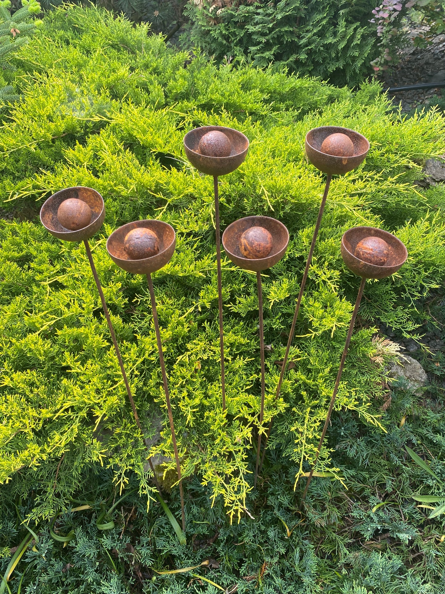 Set of 6 rusty flowers, Metal garden decorations, Yard art, Outdoor metal decor, Rusty metal rain catchers, beautiful garden stakes