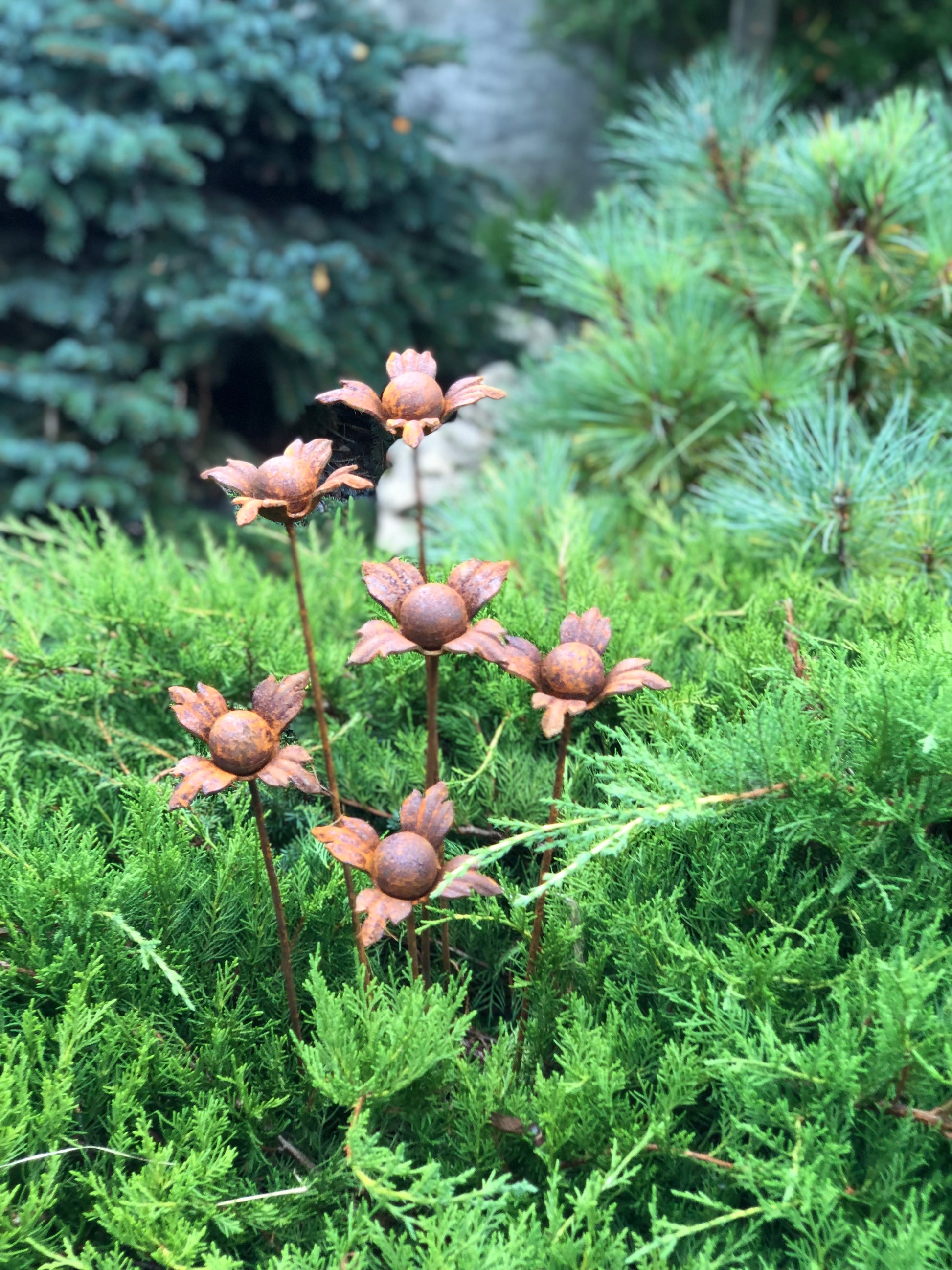 Rusty flowers set of 6, 6 Rusty flowers garden stakes, Metal garden decor, metal yard art, outdoor metal decor, Rusty metal garden decor