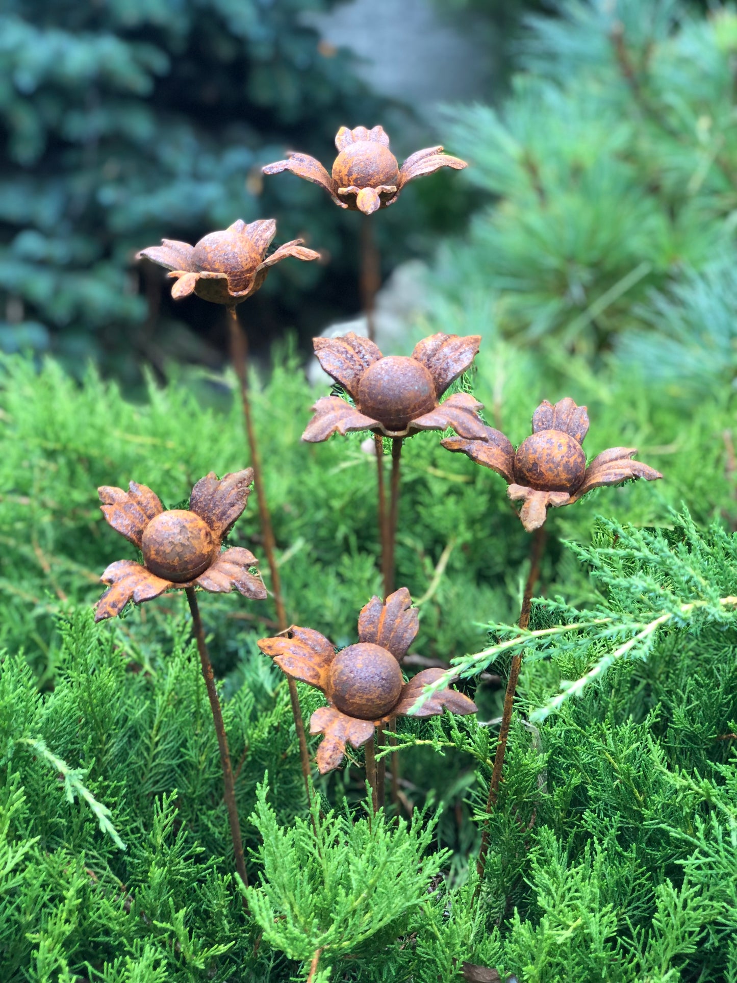 Rusty flowers set of 6, 6 Rusty flowers garden stakes, Metal garden decor, metal yard art, outdoor metal decor, Rusty metal garden decor