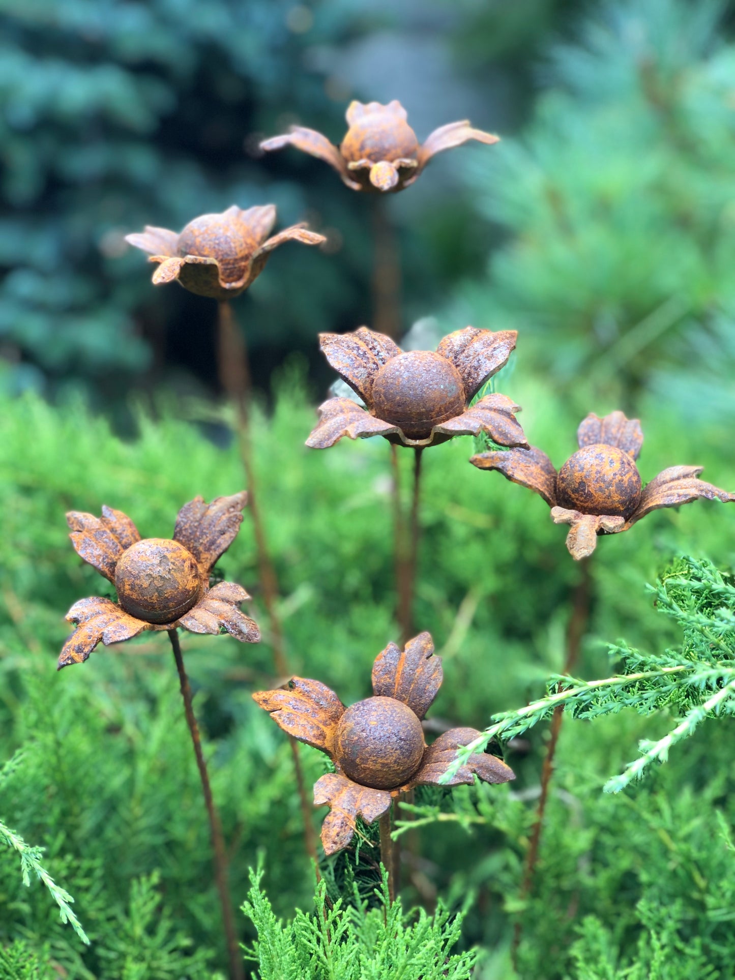 Rusty flowers set of 6, 6 Rusty flowers garden stakes, Metal garden decor, metal yard art, outdoor metal decor, Rusty metal garden decor