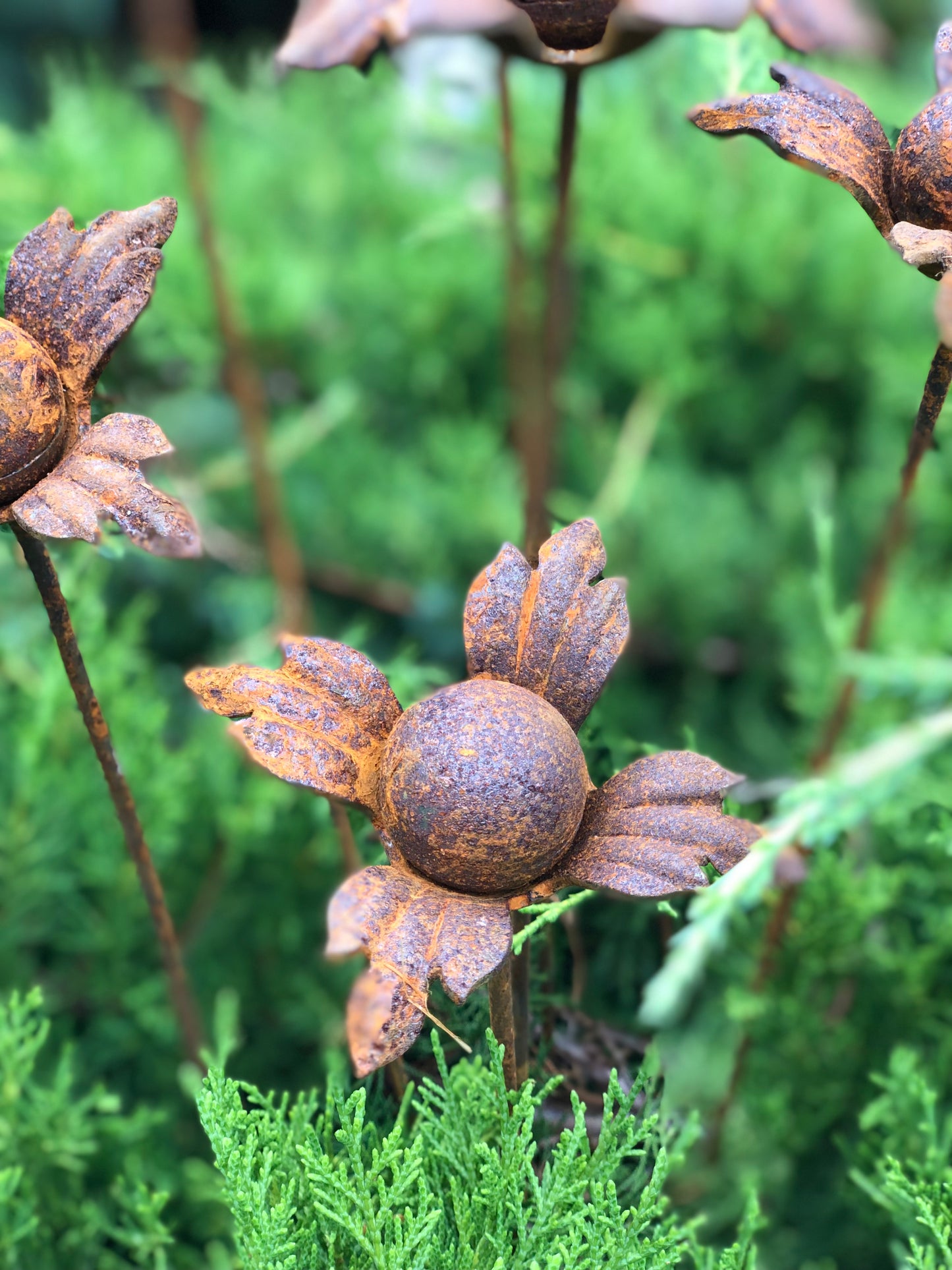 Rusty flowers set of 6, 6 Rusty flowers garden stakes, Metal garden decor, metal yard art, outdoor metal decor, Rusty metal garden decor