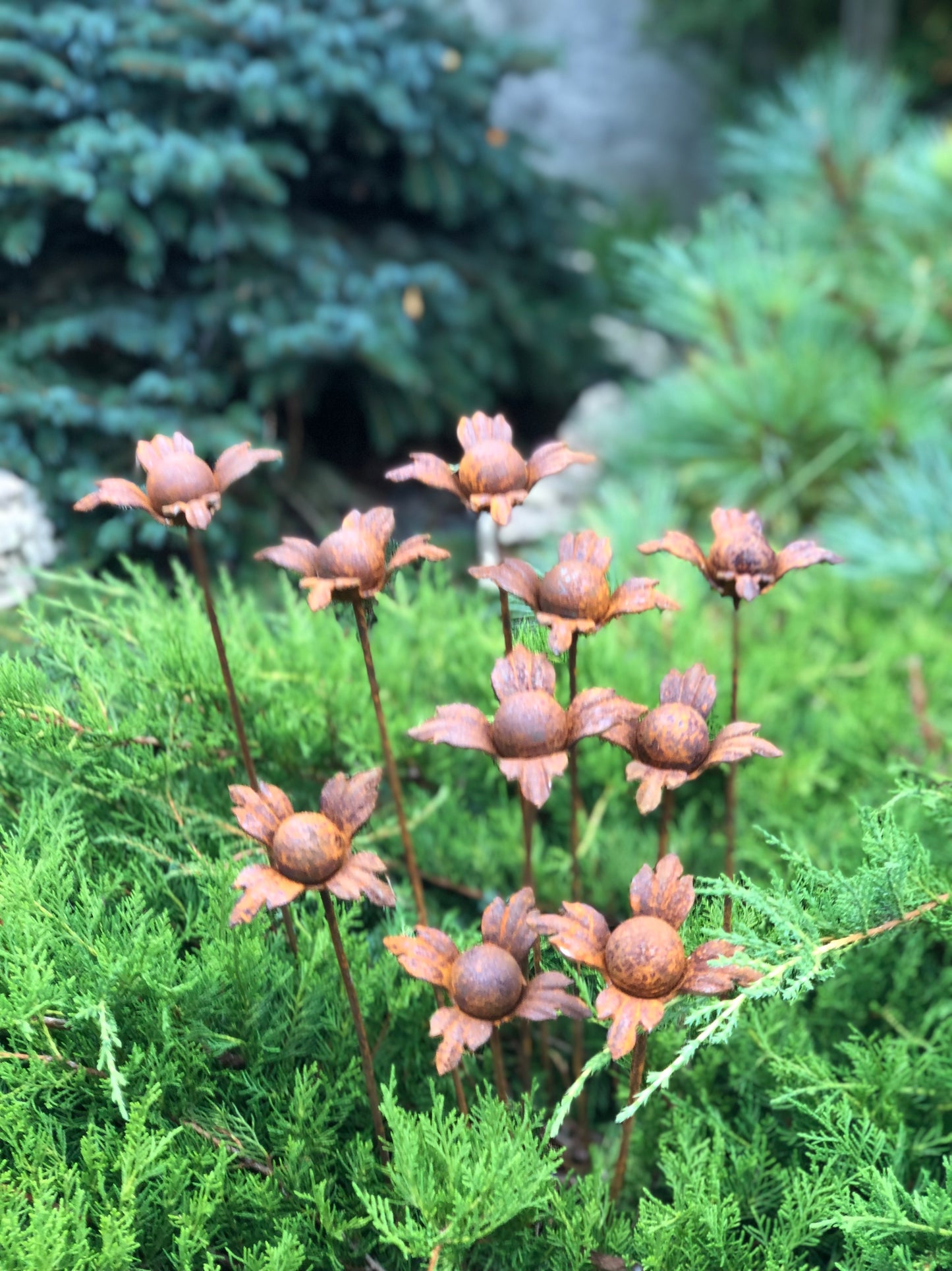 Rusty flowers set of 10, 10 Rusty flowers garden stakes, Metal garden decor, metal yard art, outdoor metal decor, Rusty metal garden decor