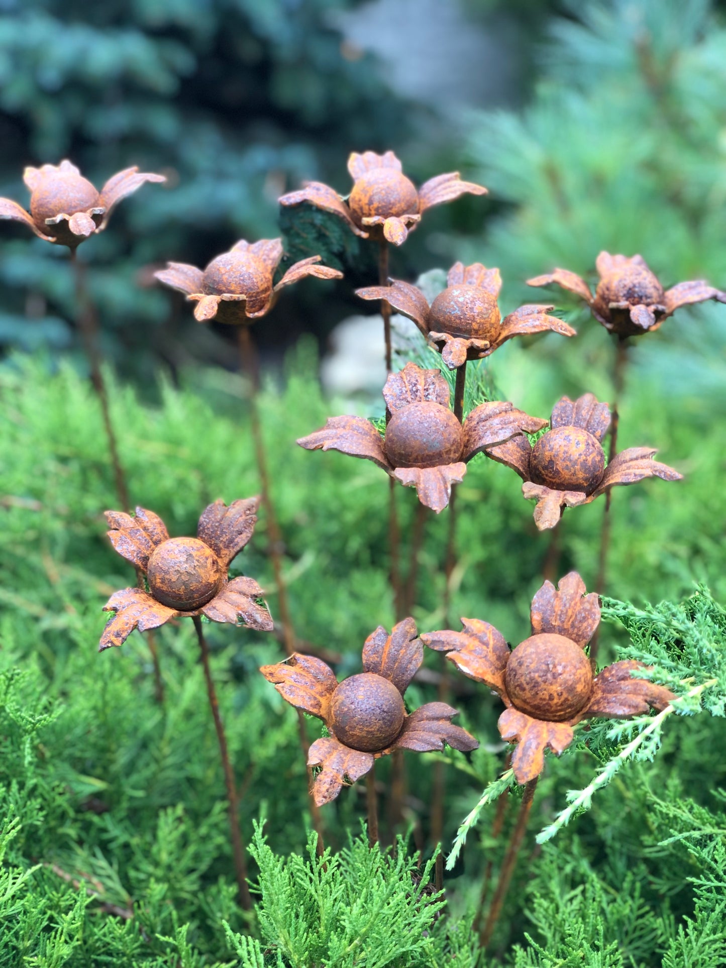 Rusty flowers set of 10, 10 Rusty flowers garden stakes, Metal garden decor, metal yard art, outdoor metal decor, Rusty metal garden decor