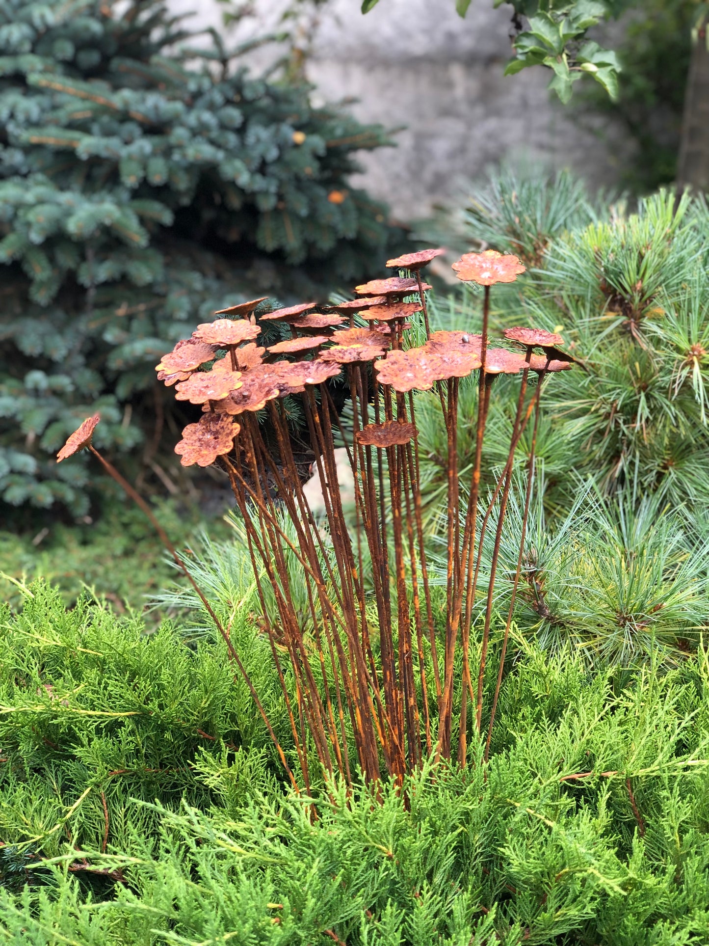 Rusty flowers set of 40, Flowers garden decor, Metal garden decor, metal yard art, outdoor metal decor, Rusty metal garden decor