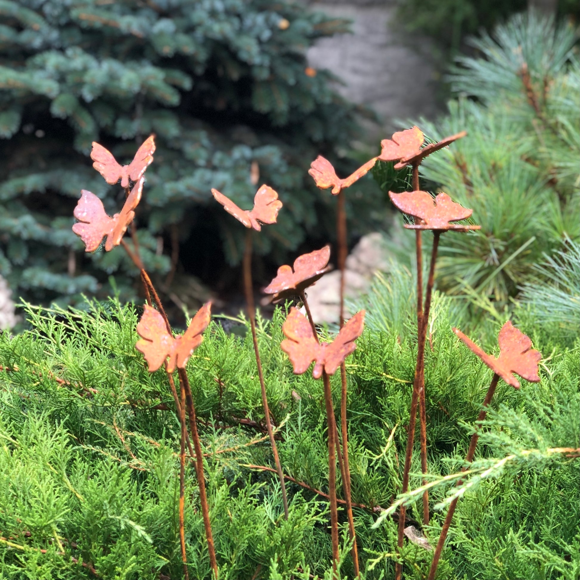 Rusty butterflies set of 10, 10 Rusty butterflies garden stakes, Metal garden decor, metal yard art, outdoor metal decor, gift for gardener