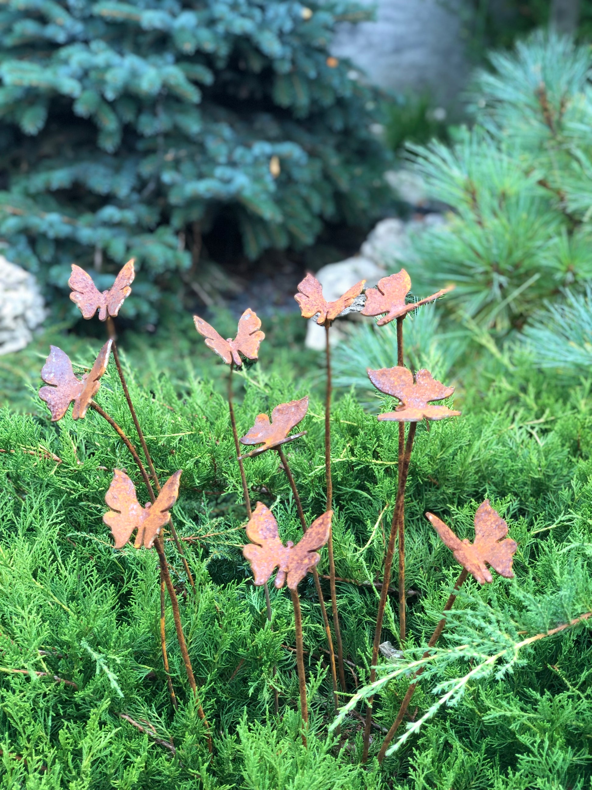 Rusty butterflies set of 10, 10 Rusty butterflies garden stakes, Metal garden decor, metal yard art, outdoor metal decor, gift for gardener