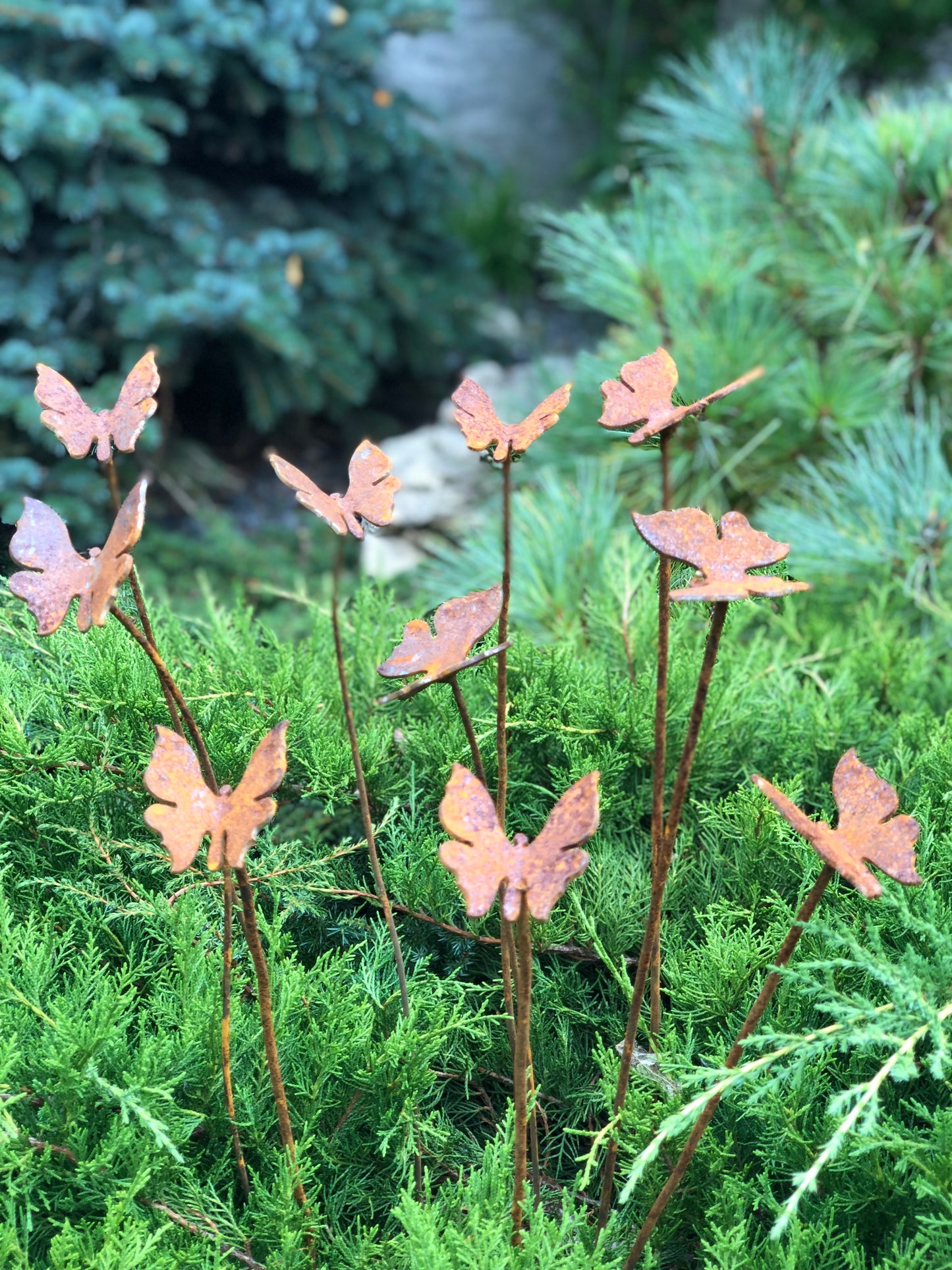 Rusty butterflies set of 10, 10 Rusty butterflies garden stakes, Metal garden decor, metal yard art, outdoor metal decor, gift for gardener