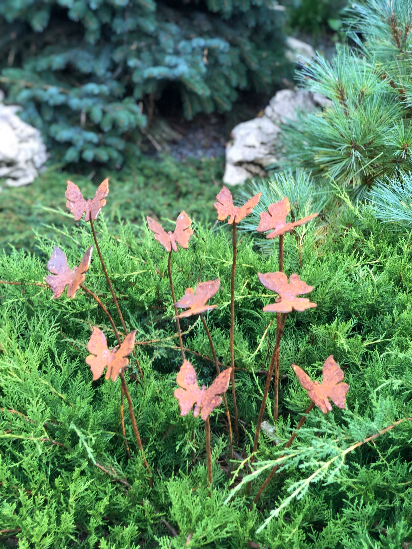 Rusty butterflies set of 10, 10 Rusty butterflies garden stakes, Metal garden decor, metal yard art, outdoor metal decor, gift for gardener