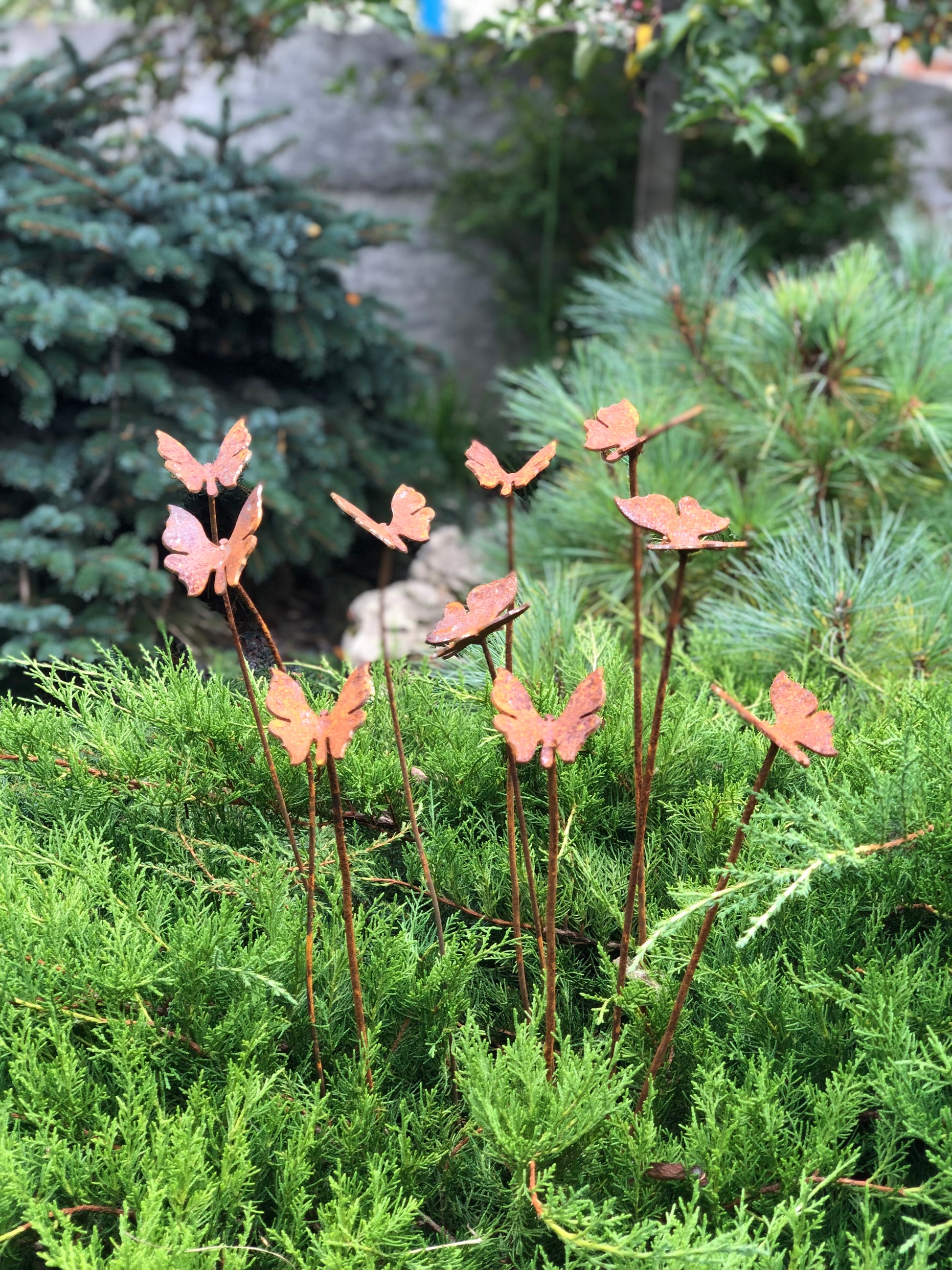 Rusty butterflies set of 10, 10 Rusty butterflies garden stakes, Metal garden decor, metal yard art, outdoor metal decor, gift for gardener