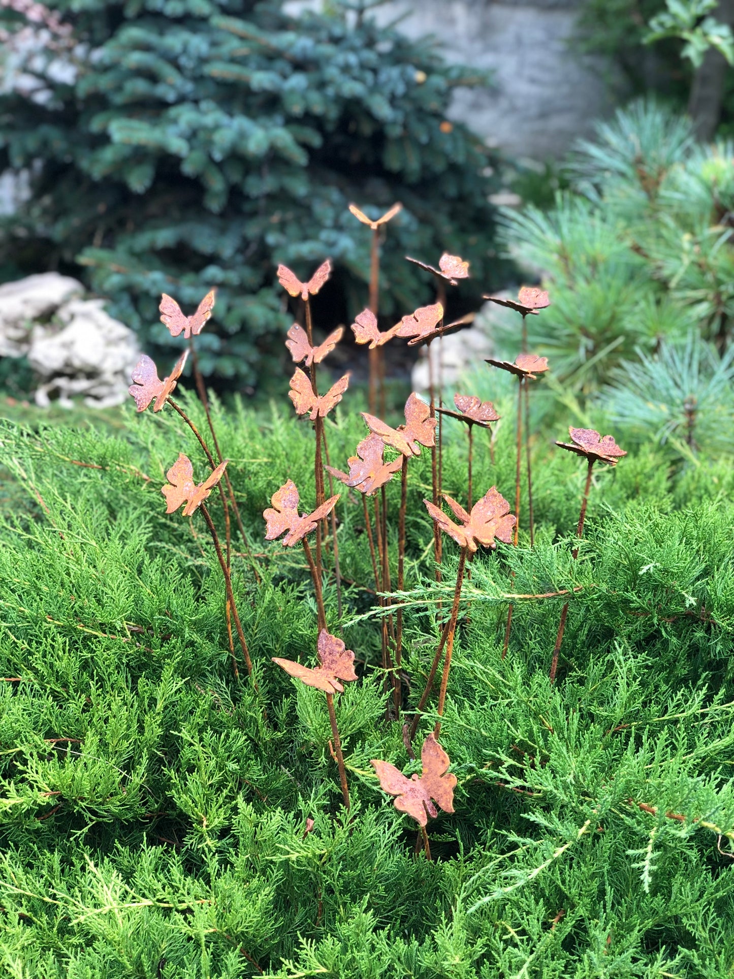 Rusty butterflies set of 20, 20 Rusty butterflies garden stakes, Metal garden decor, metal yard art, outdoor metal decor