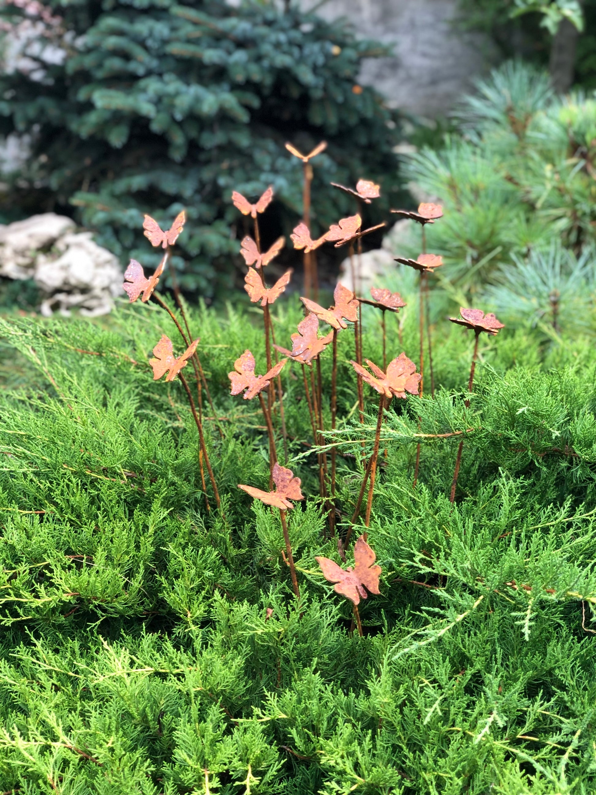 Rusty butterflies set of 20, 20 Rusty butterflies garden stakes, Metal garden decor, metal yard art, outdoor metal decor