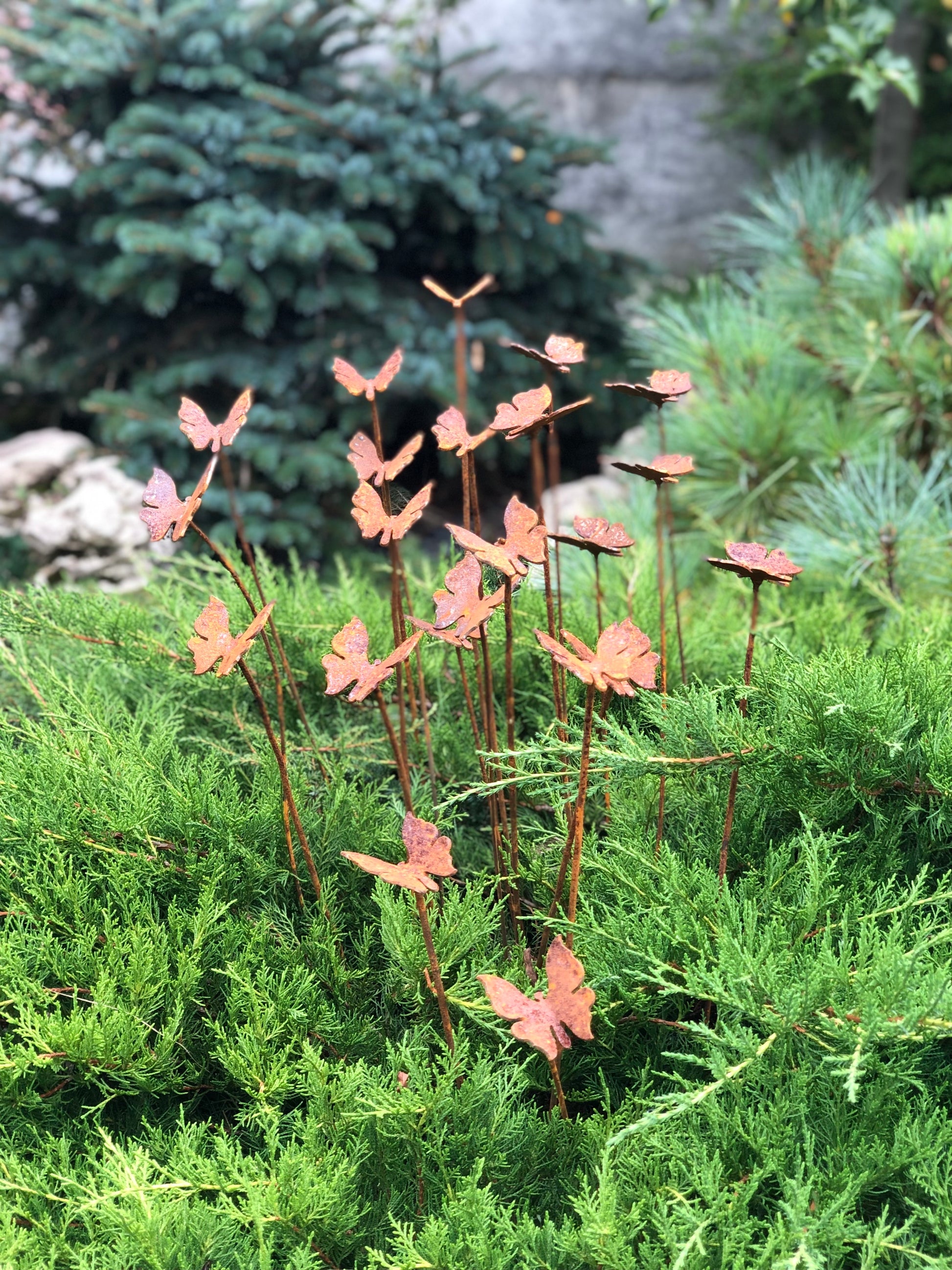 Rusty butterflies set of 20, 20 Rusty butterflies garden stakes, Metal garden decor, metal yard art, outdoor metal decor