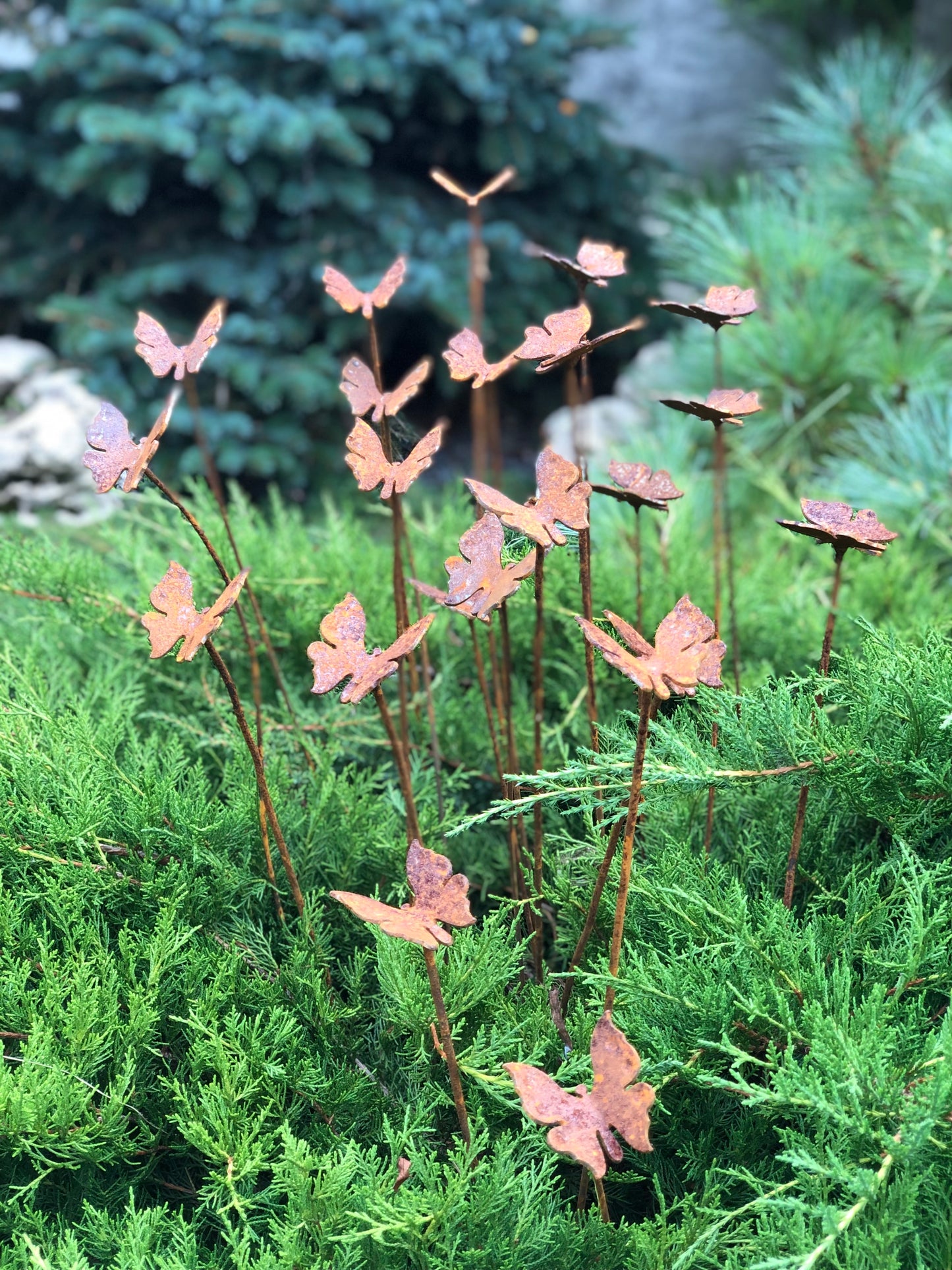 Rusty butterflies set of 20, 20 Rusty butterflies garden stakes, Metal garden decor, metal yard art, outdoor metal decor