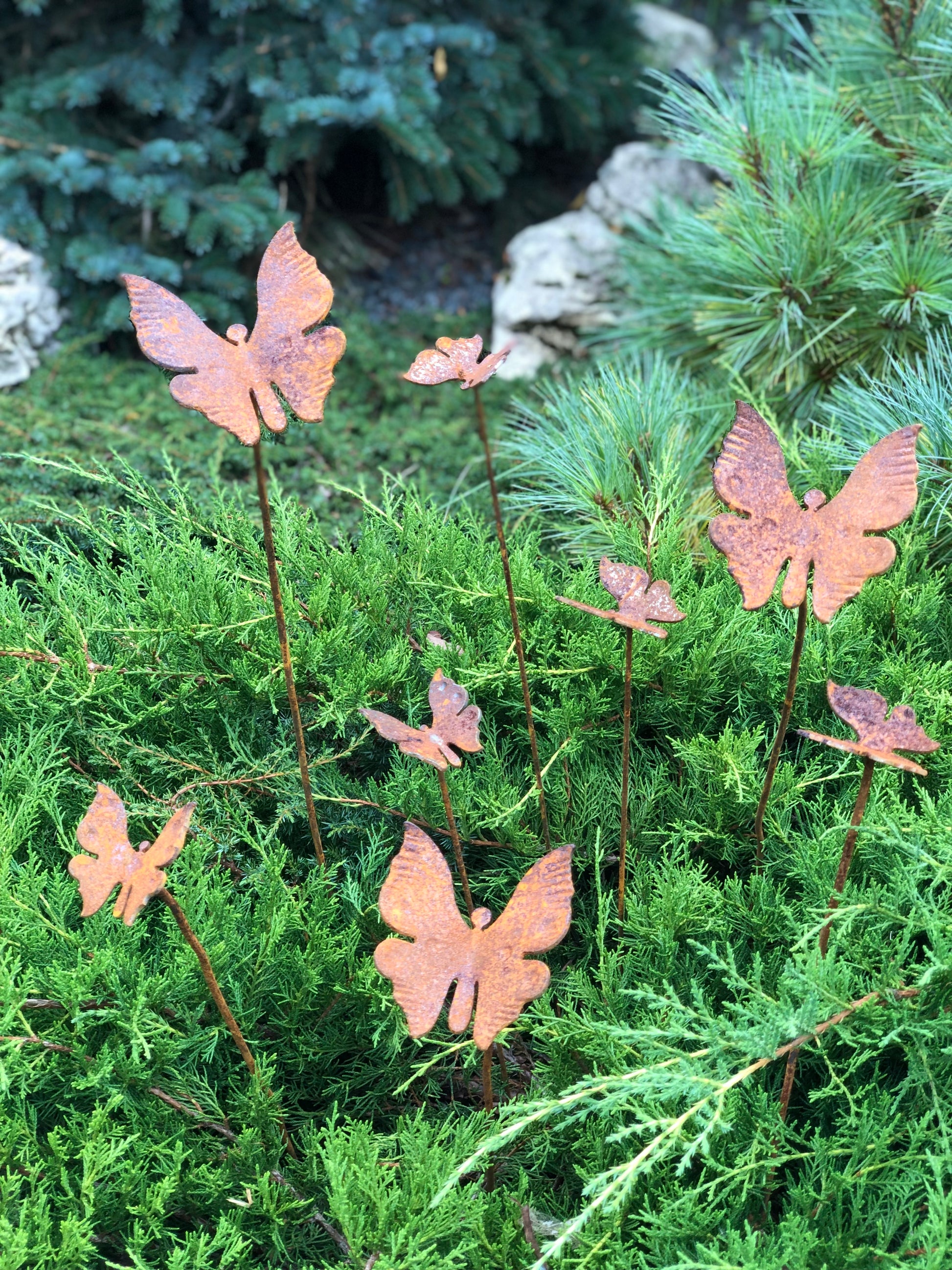 Rusty butterflies set of 8, 8 Rusty butterflies garden stakes, Metal garden decor, metal yard art, outdoor metal decor