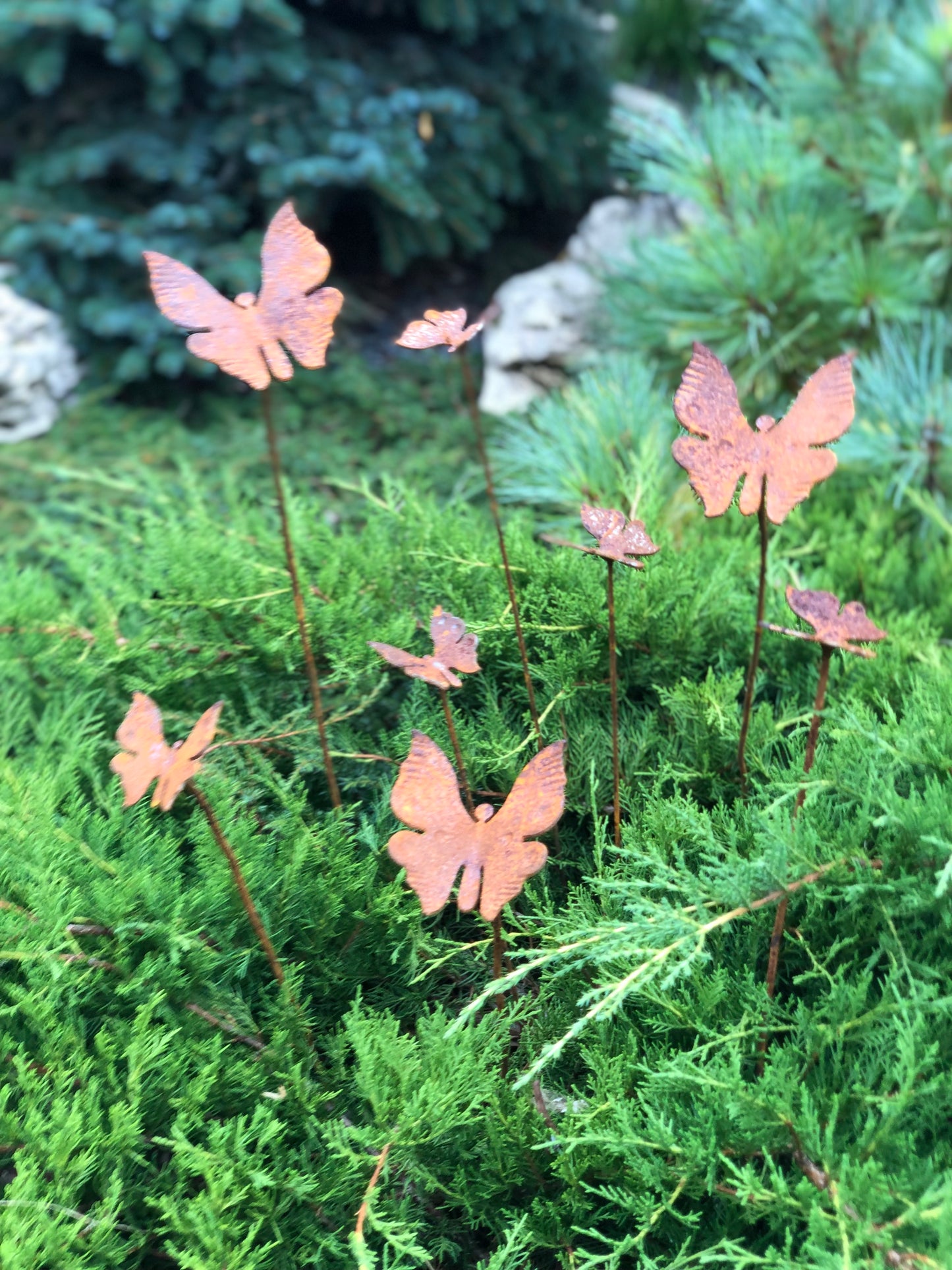 Rusty butterflies set of 8, 8 Rusty butterflies garden stakes, Metal garden decor, metal yard art, outdoor metal decor