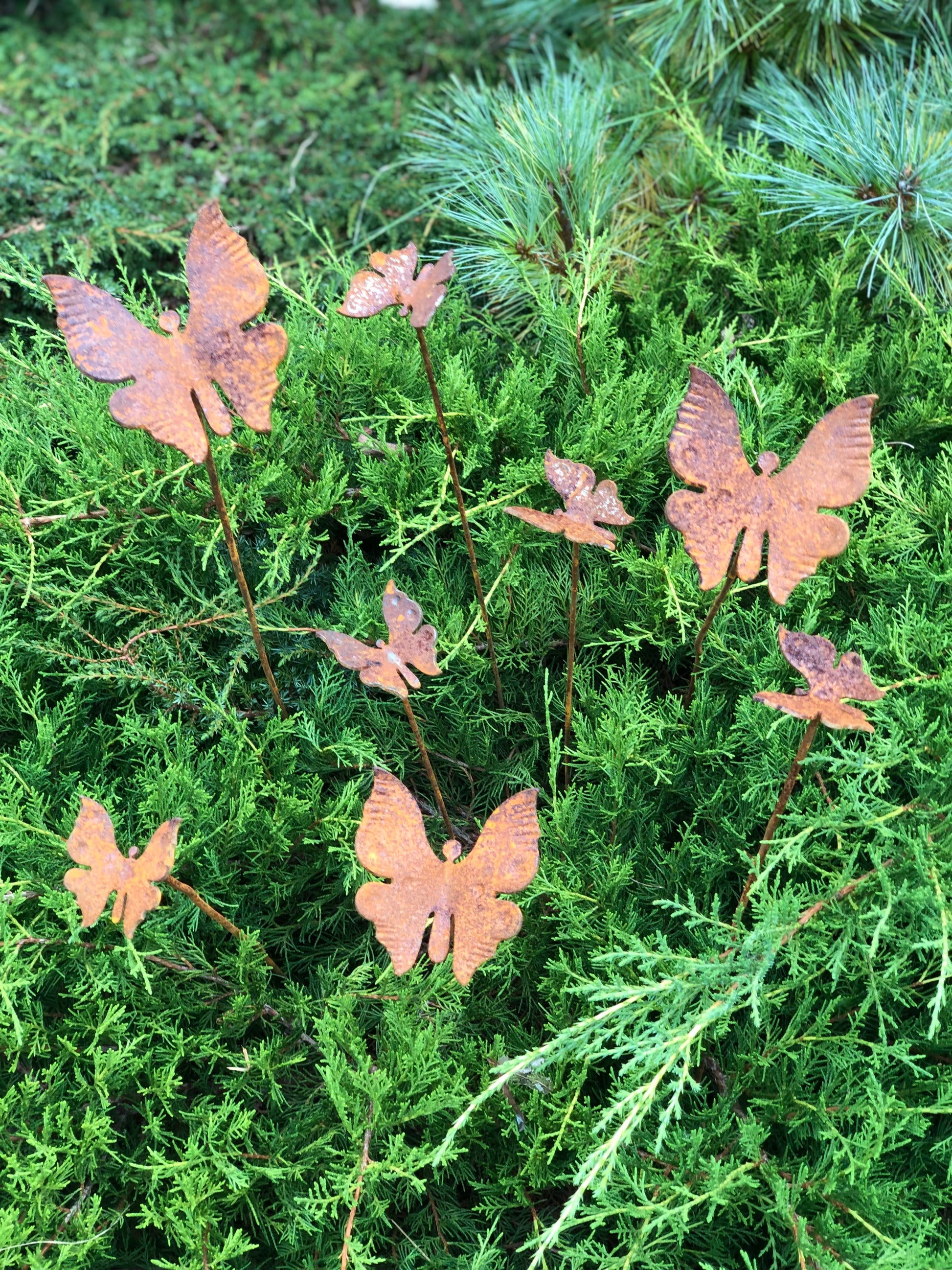 Rusty butterflies set of 8, 8 Rusty butterflies garden stakes, Metal garden decor, metal yard art, outdoor metal decor