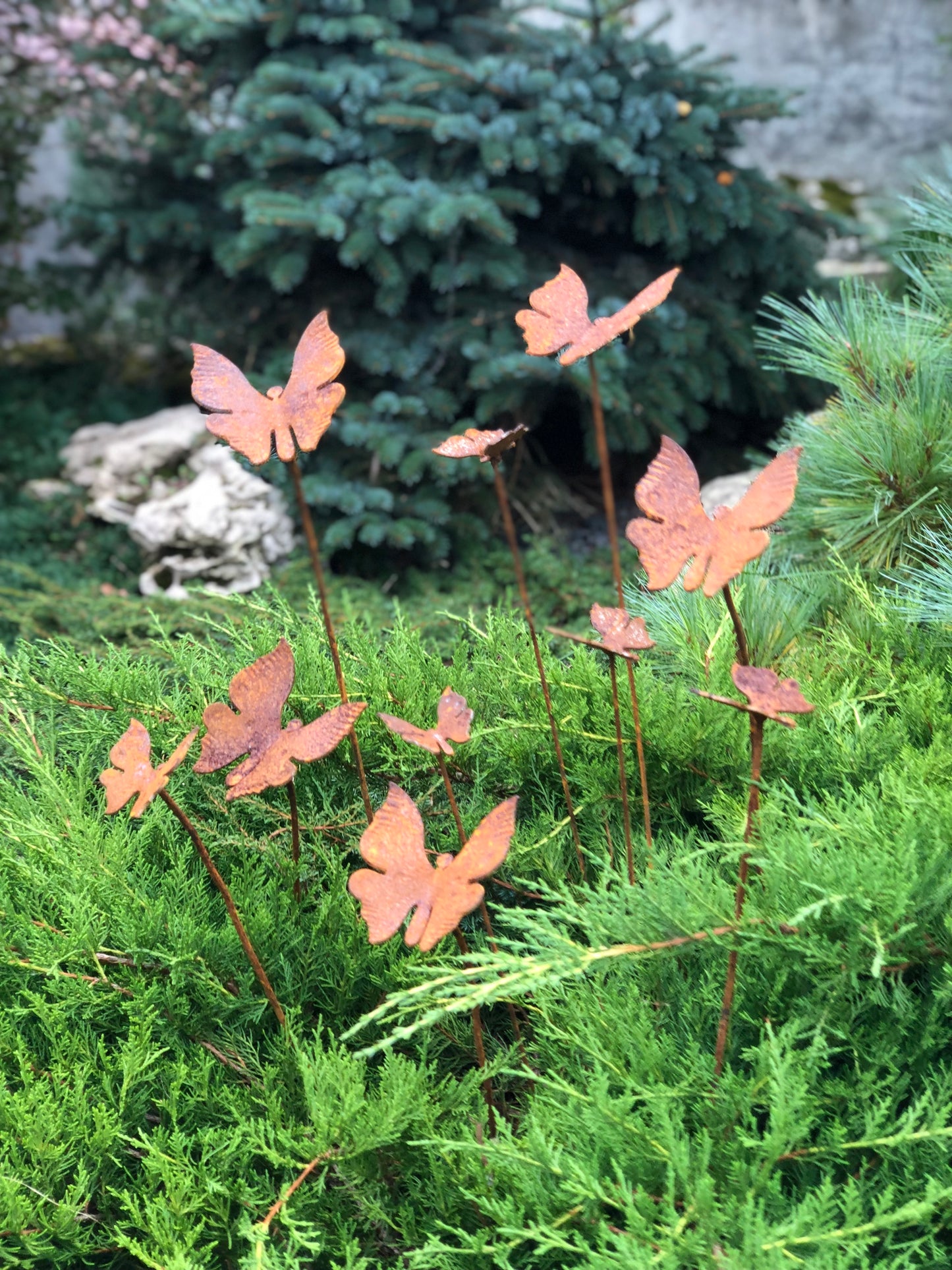 Rusty butterflies set of 10, 10 Rusty butterflies garden stakes, Metal garden decor, metal yard art, outdoor metal decor