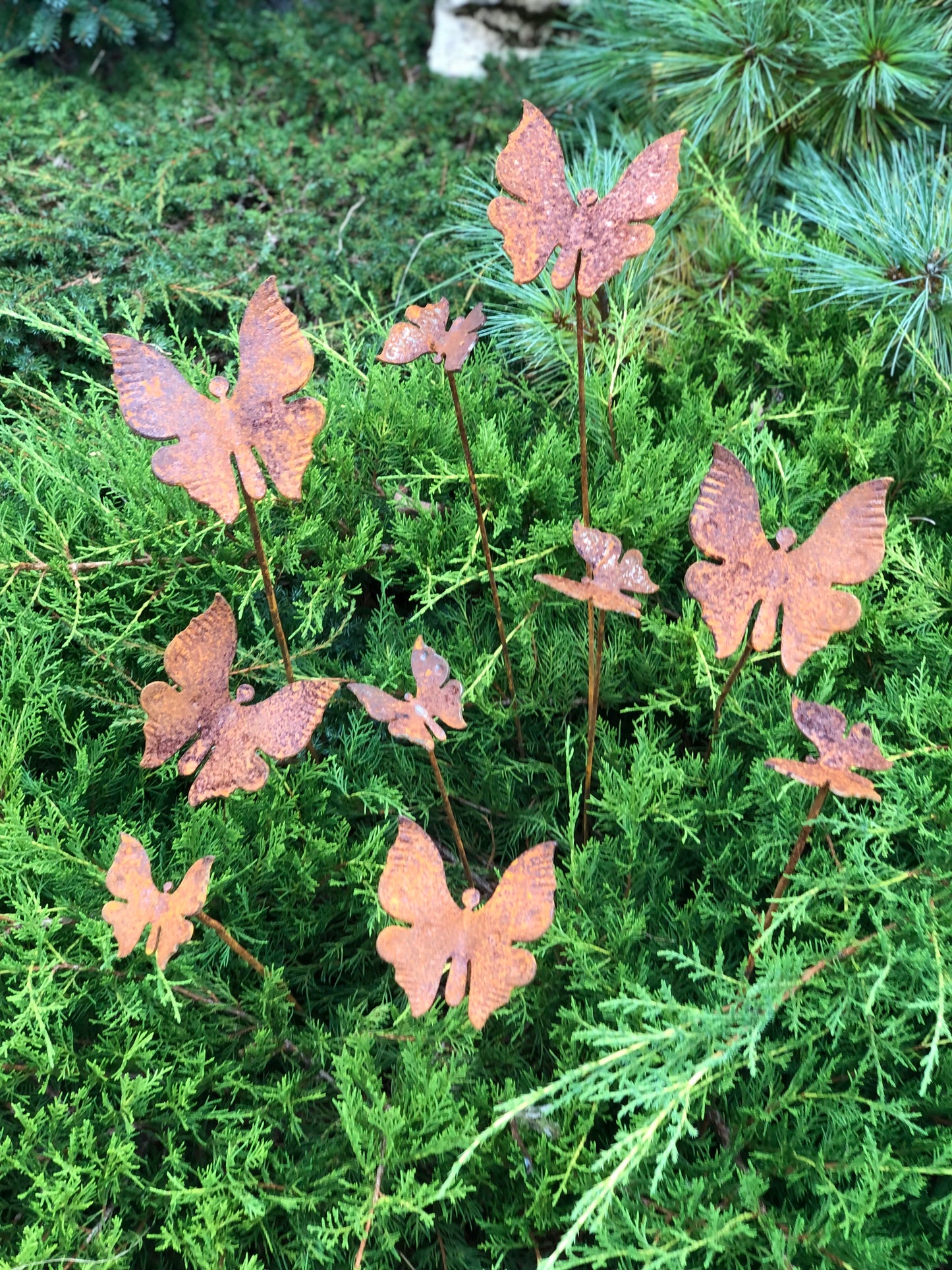 Rusty butterflies set of 10, 10 Rusty butterflies garden stakes, Metal garden decor, metal yard art, outdoor metal decor