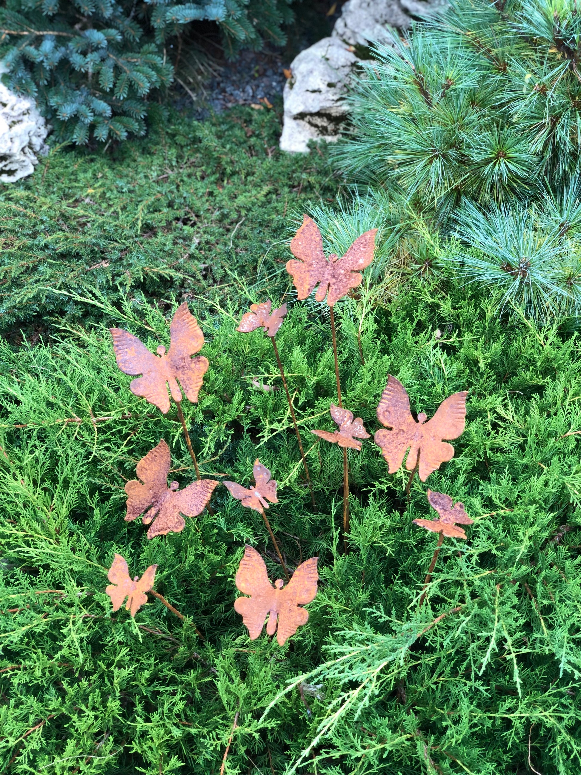 Rusty butterflies set of 10, 10 Rusty butterflies garden stakes, Metal garden decor, metal yard art, outdoor metal decor